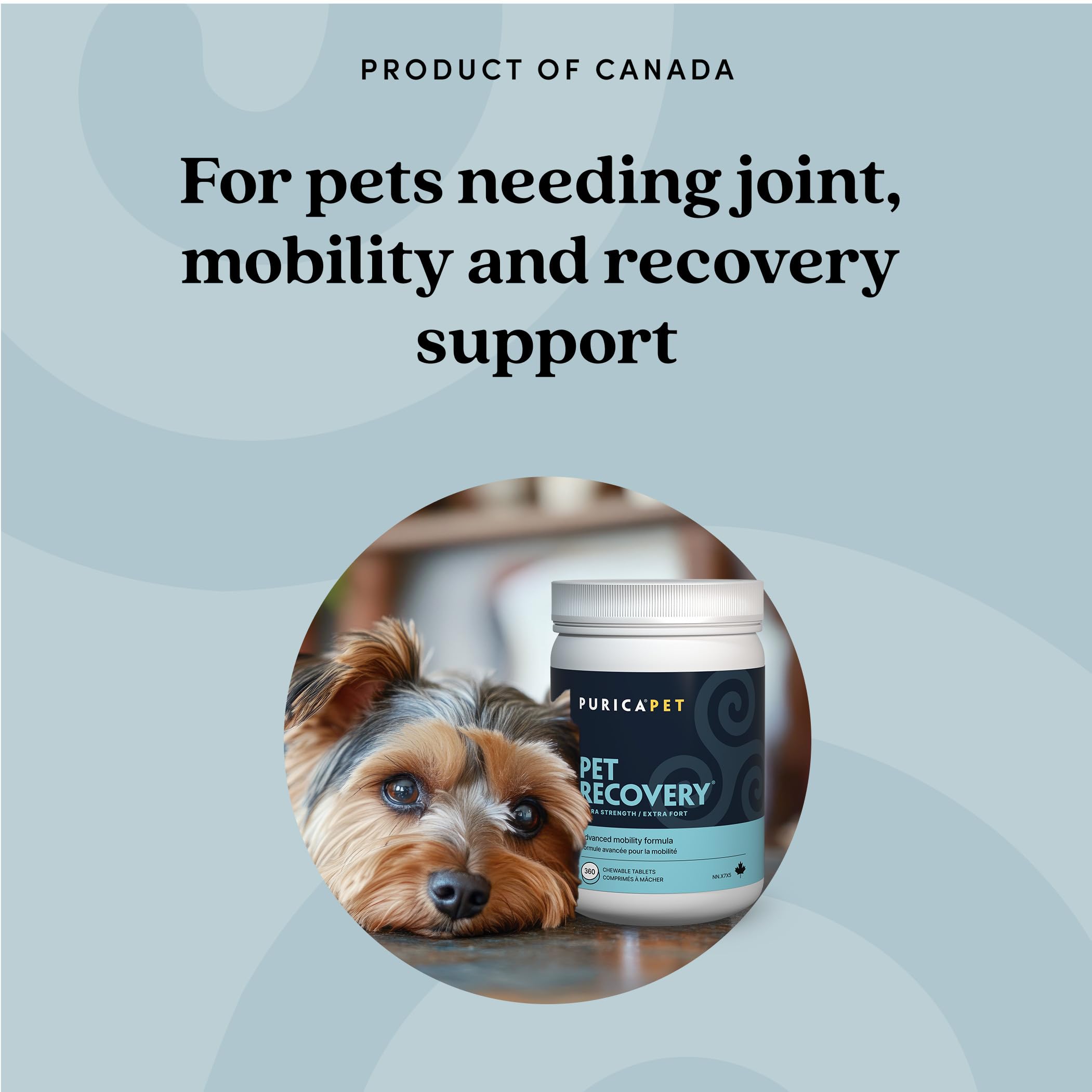 PURICA Pet Recovery Extra Strength, 360 Chewable Tablets – Advanced Hip & Joint Supplement for Dogs & Cats with Glucosamine HCl, MSM, L-Lysine, Boswellia & Vitamin E – Supports Mobility & Senior Pets