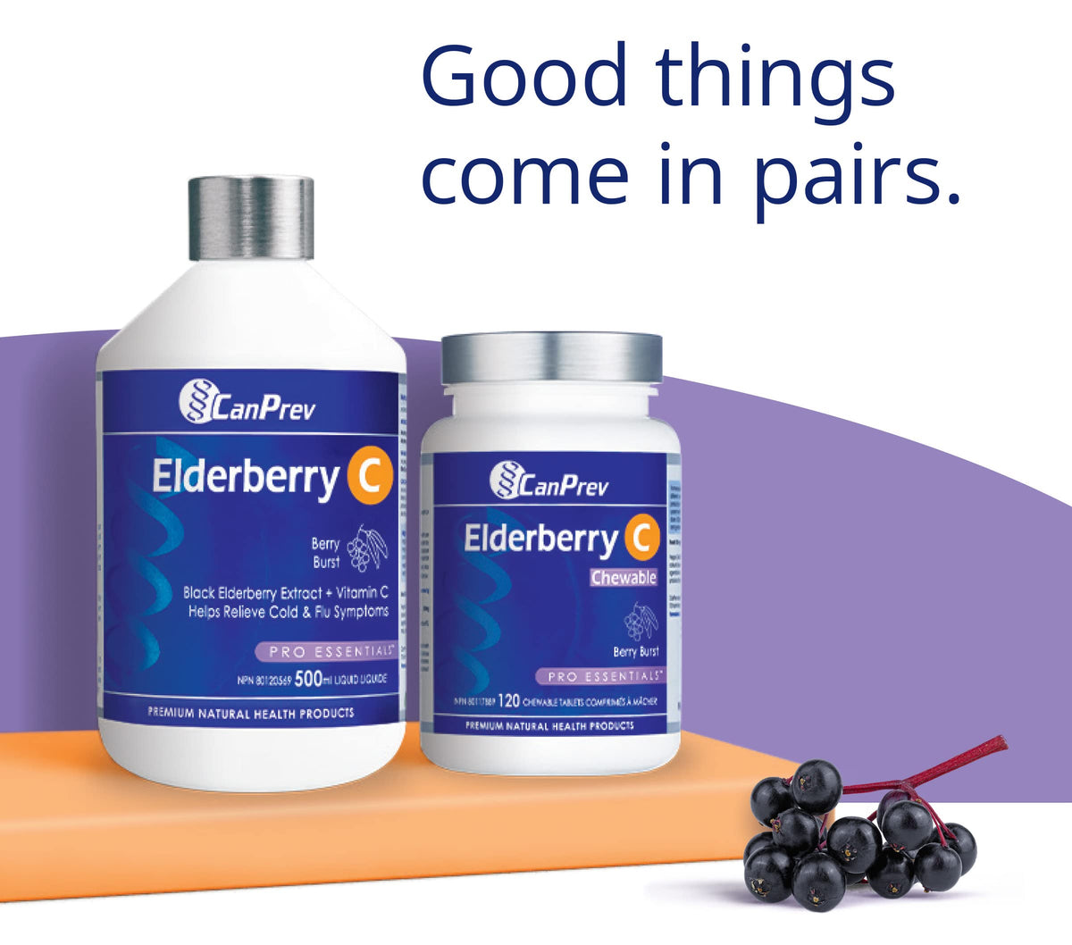 CanPrev Elderberry C Liquid, Adults & Kids 5+, Sugar Free, Vitamin C, 500ml