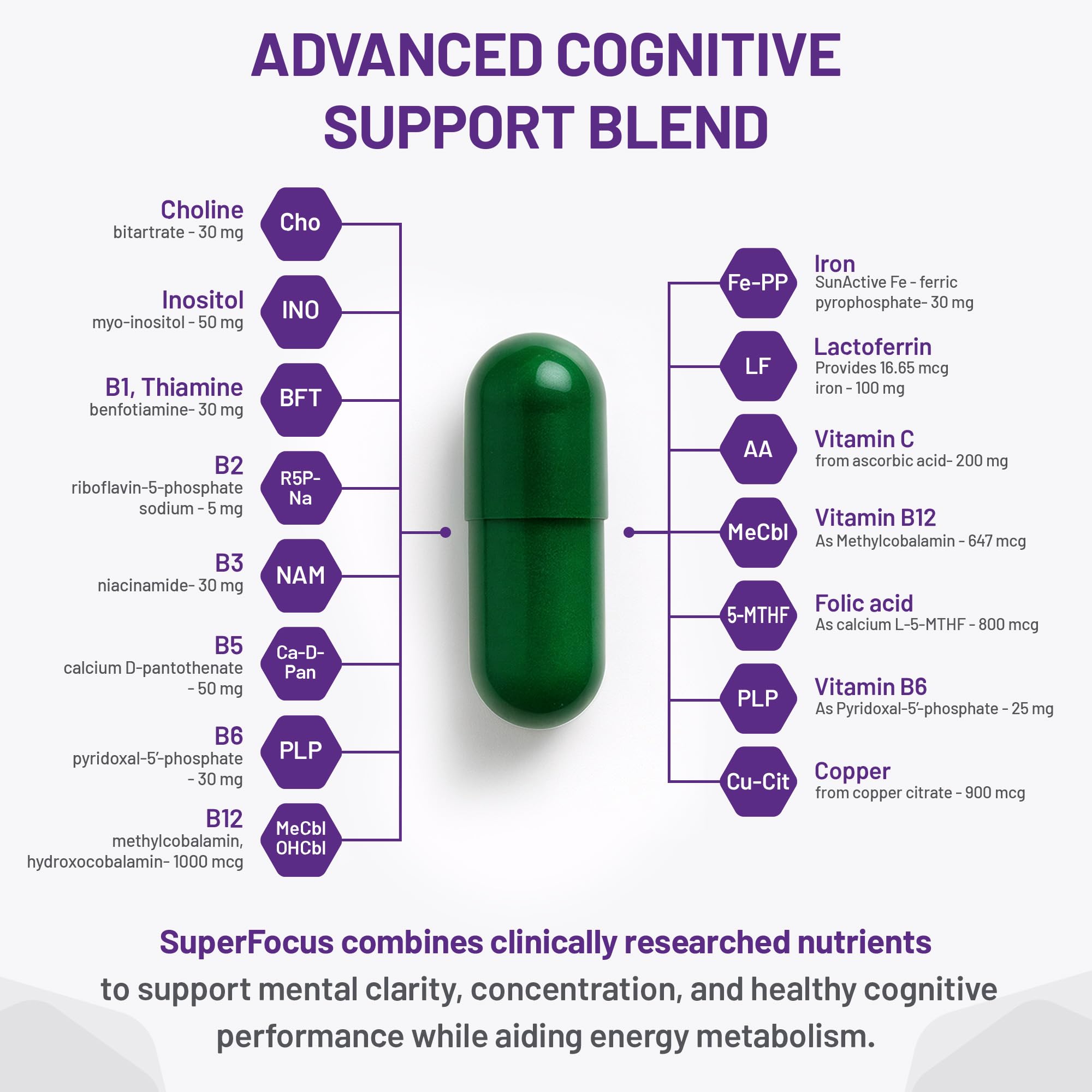 AOR SuperFocus, complément de soutien cérébral, 60 capsules, 30 jours – Végétalien, sans OGM et sans gluten – Améliore les performances cognitives et la mémoire, contient du ginseng, du Rhodiola Rosea, du Bacopa, de la méthyl B12, de l'inositol