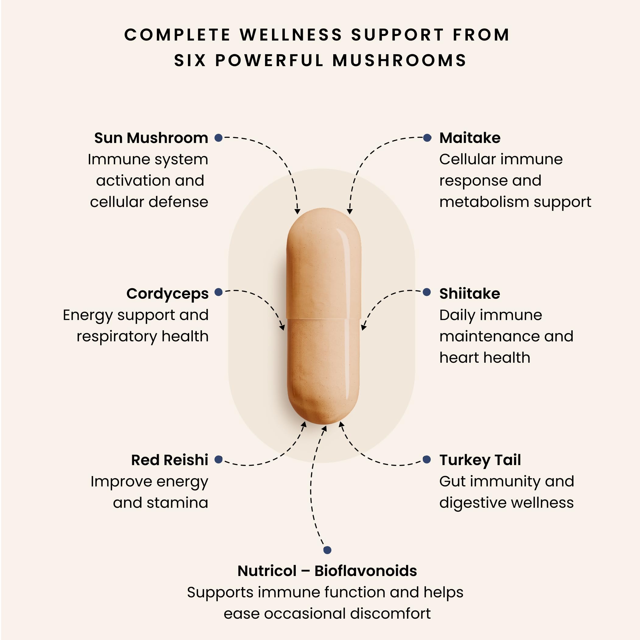 PURICA Complexe Immunitaire 7, 60 gélules - Soutien immunitaire complet avec Coriolus versicolor, Cordyceps, Reishi, Maitake, Shiitake, Champignon du Soleil - Vitalité à spectre complet, Améliore la santé et le bien-être