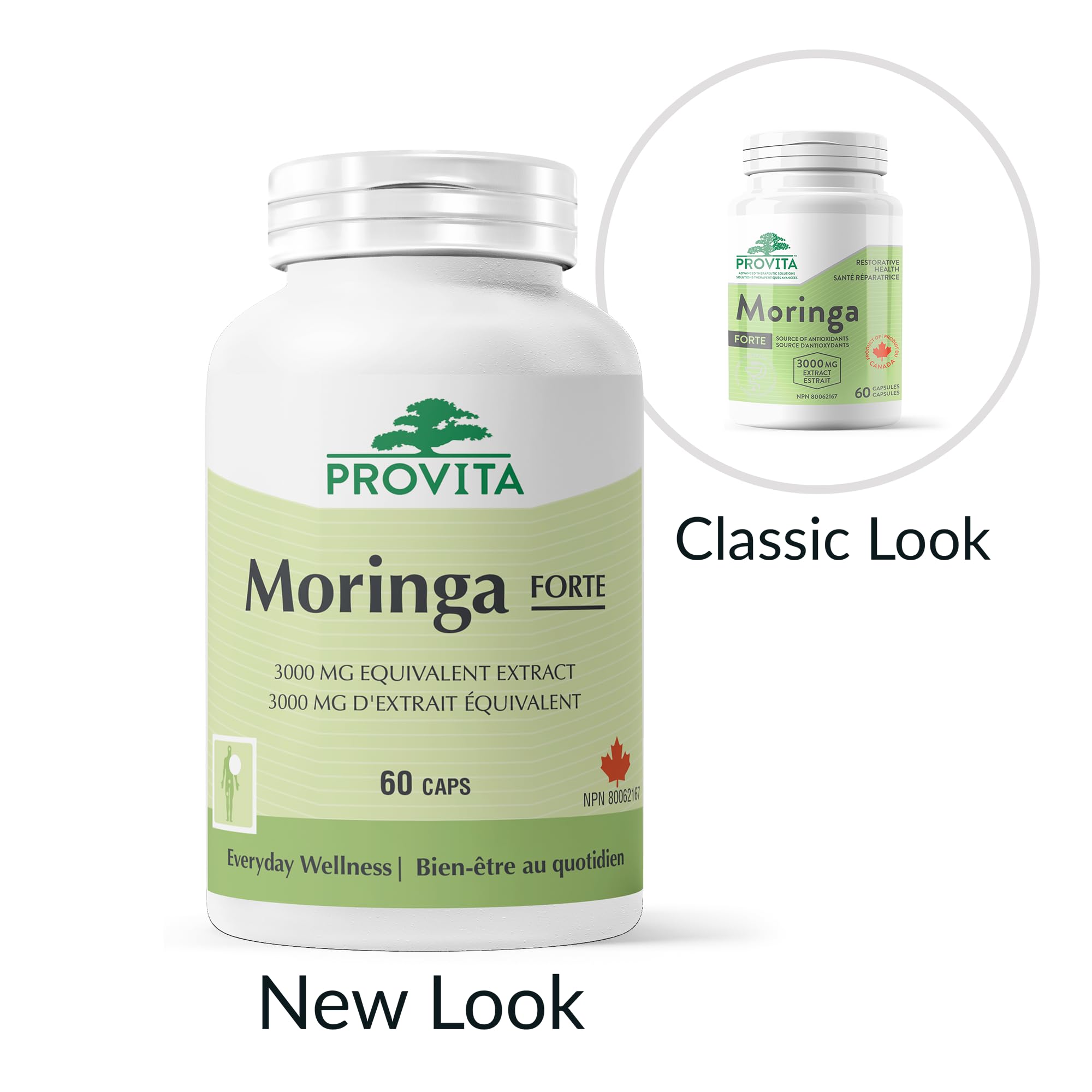 Moringa Forte by Provita Nutrition (Canadian Made) 60 Capsules