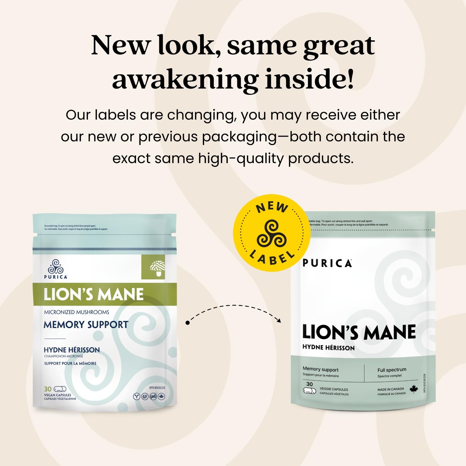 PURICA Crinière de Lion Biologique - Complément pour la Santé Cérébrale, Mémoire et Concentration, Gélules 100% Naturelles, Véganes