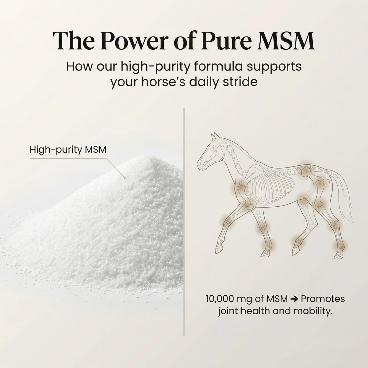 PURICA Horse MSM Supplement, MSM-Only, Vegan & Non-GMO, 5kg, 500-Day Supply