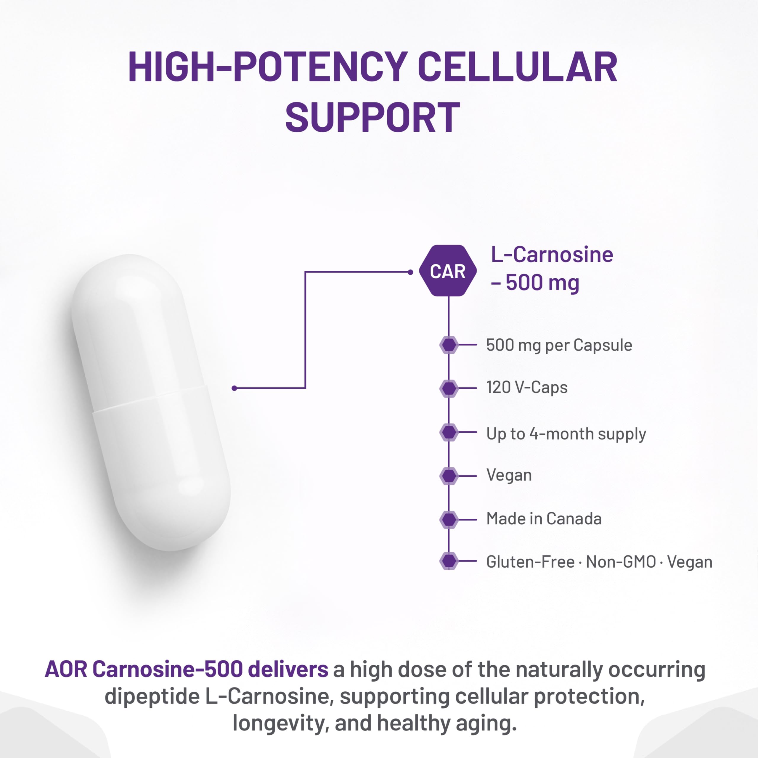 AOR Carnosine Supplément 500 mg Acides Aminés - Soutien Antioxydant pour la Fonction Cellulaire, la Vitalité Musculaire et le Bien-être Cognitif - Formule Végétalienne, sans OGM et sans Gluten