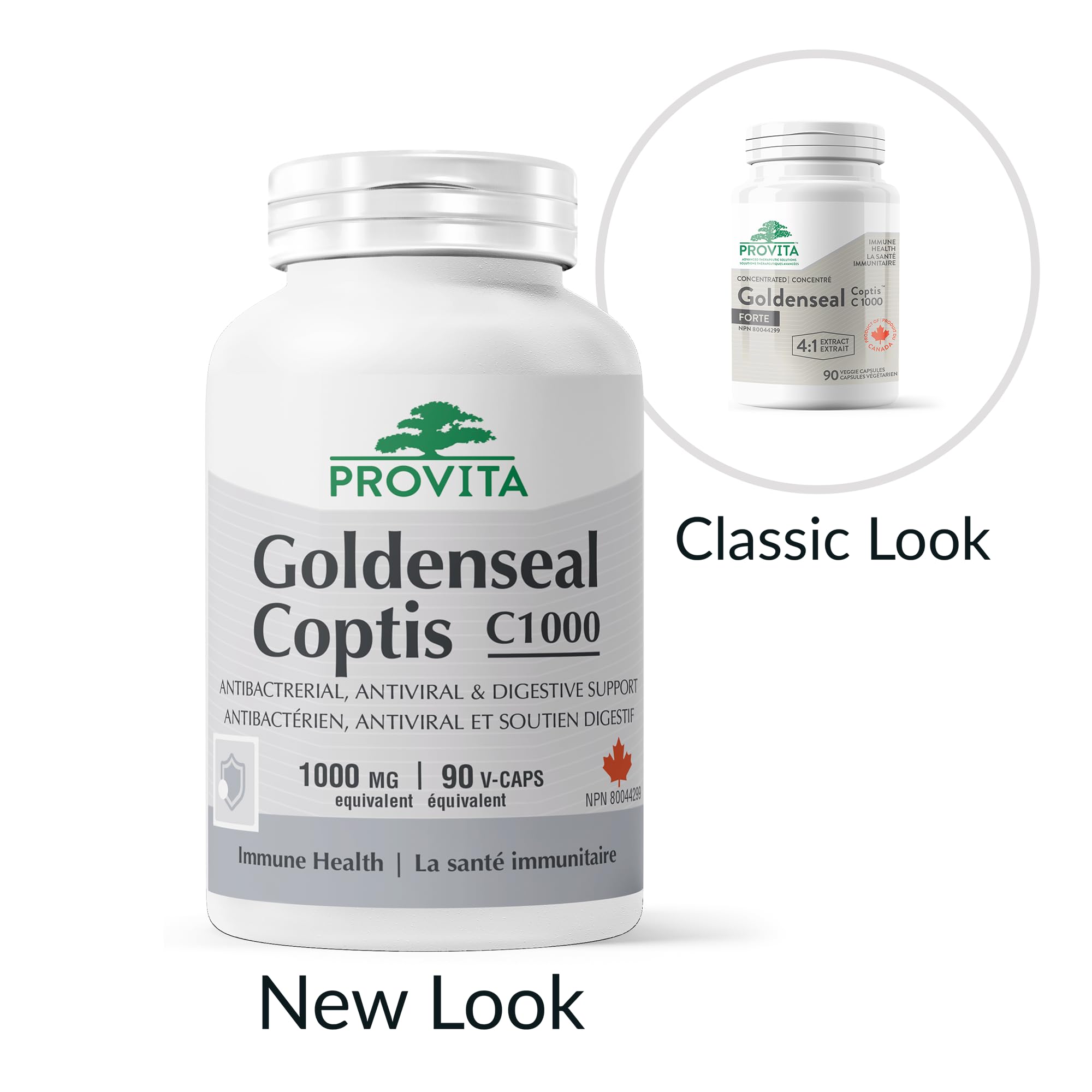 Goldenseal Coptis C1000 by Provita Nutrition (Canadian Made) 90 Vegetarian Capsules