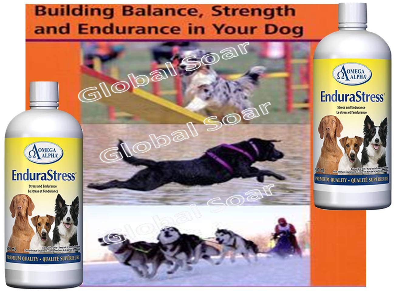Vitamines et suppléments EnduraStress pour chiens, complément stimulant l'énergie, la concentration et l'endurance, soulagement de l'anxiété canine, calmant pour chiots, friandises calmantes pour chiens anxieux, 500 ml