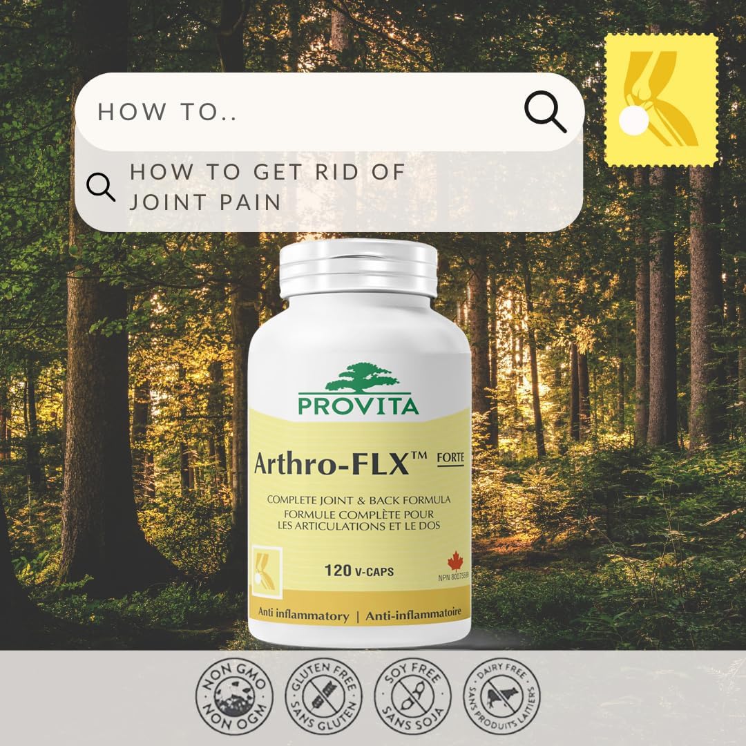 Provita Arthro-FLX Forte : Soutien optimal pour la santé des articulations - Soulage l'arthrose et les douleurs articulaires, améliore la mobilité (120 gélules)