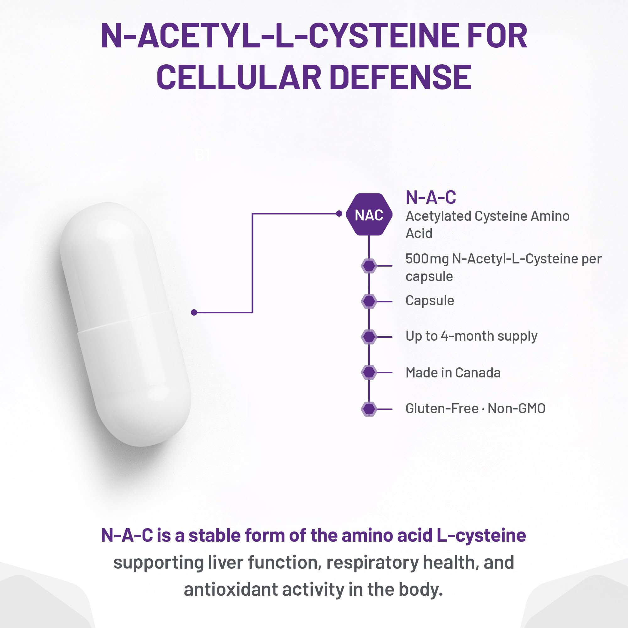 AOR - Complément de NAC 500mg N-Acétylcystéine, 120 Gélules - Soulagement du mucus, Soulagement de la bronchite, Évacuation du mucus, Complément respiratoire et de détoxification - Gélules de N-Acétylcystéine NAC 500mg