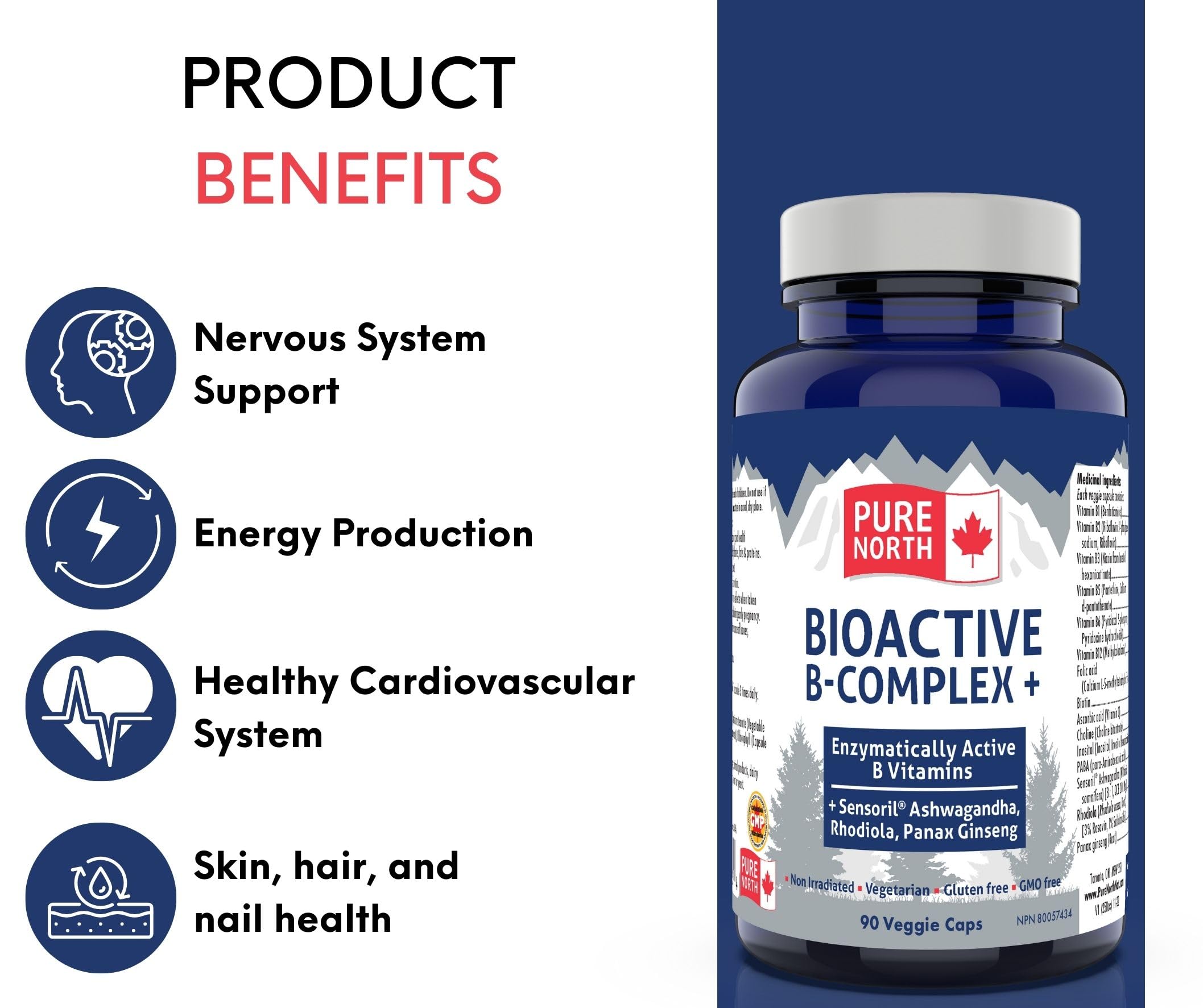 Pure North Naturals - Bioactive B-Complex Vitamin Supplement 90 Caps 30-Day Supply - Enzymatically Active Sensoril Ashwagandha, Rhodiola, Panax Ginseng - 3rd Party Tested - Formulated & Made in Canada