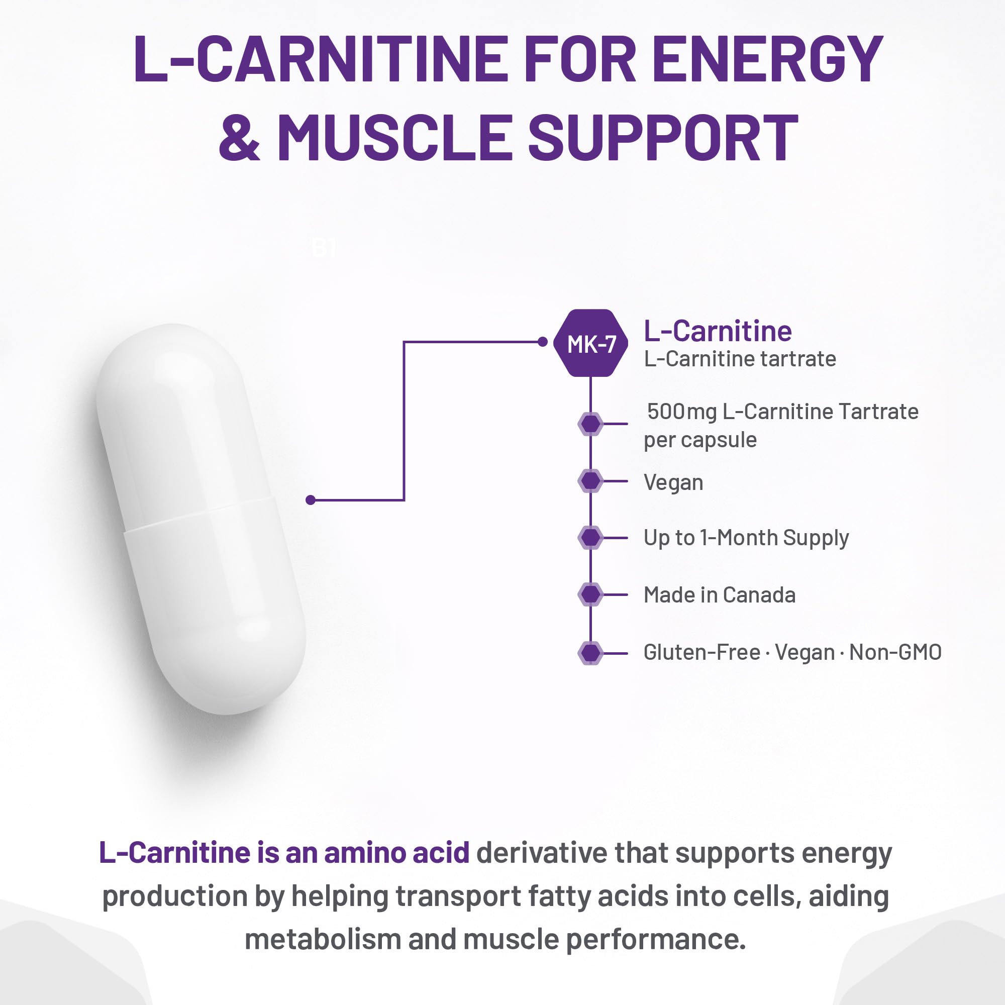AOR - L-Carnitine 500mg, 120 Capsules 30-Day Supply - L-Carnitine Tartrate, Supports Energy Metabolism, Muscle Recovery & Athletic Performance, Promotes Fitness Goals - Vegan, Non-GMO, & Gluten-Free
