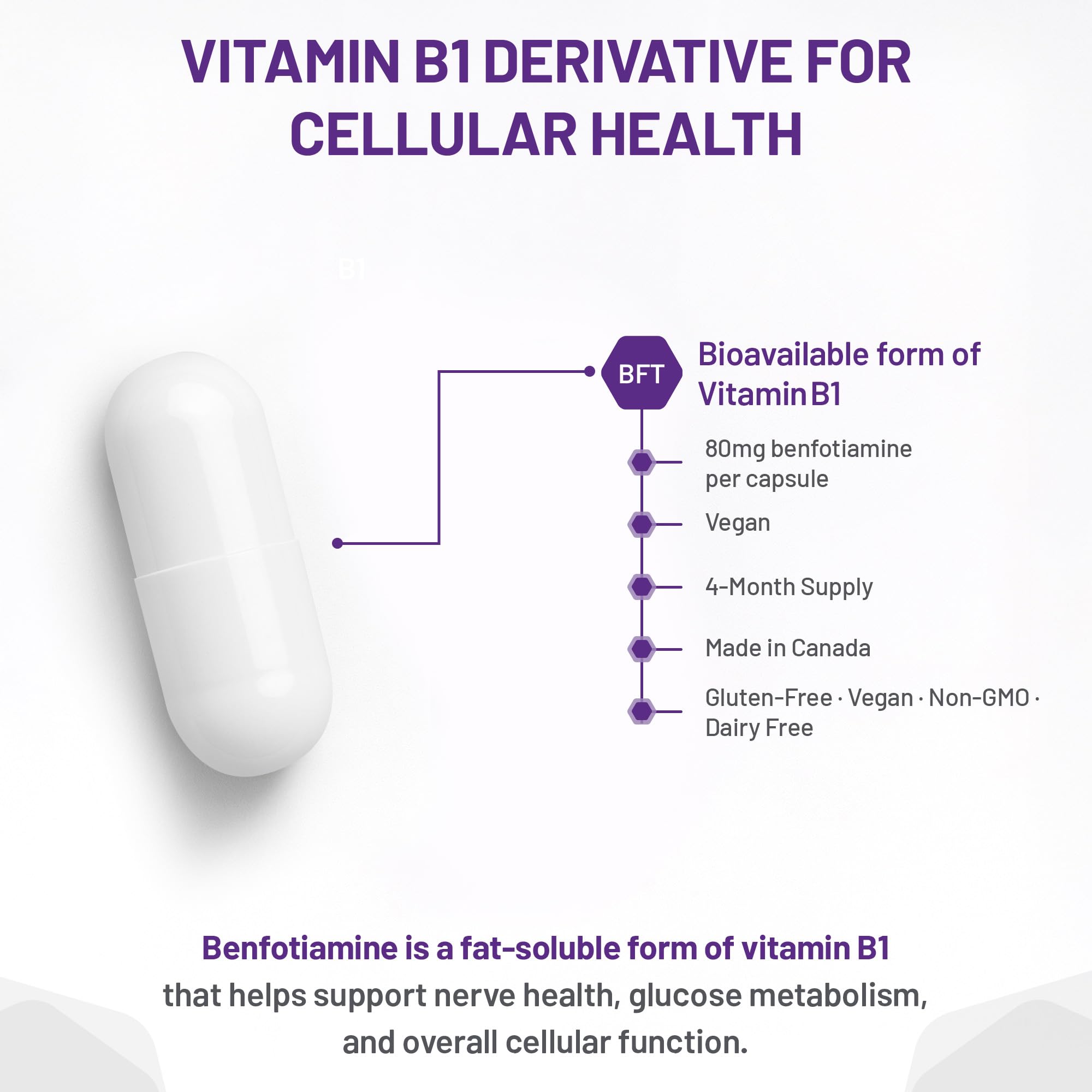 AOR Benfotiamine Vitamine B1 80mg 120 Gélules Fourniture de 120 Jours - Supplément de Complexe de Vitamines B - Végan, Sans OGM, Sans Gluten - Facile à Avaler - Soutient la Production d'Énergie, un Métabolisme Sain et la Circulation
