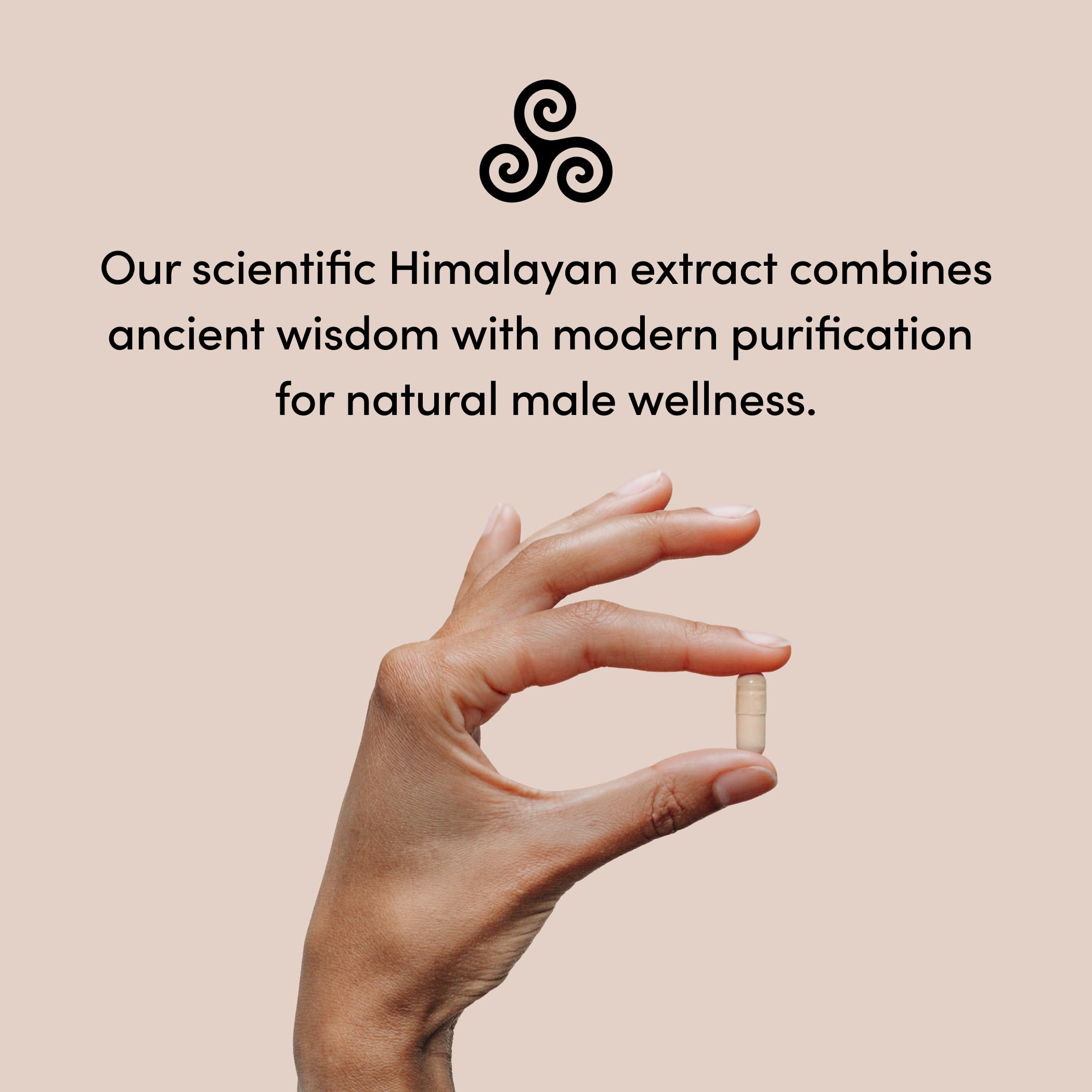 PURICA PrimaVie Shilajit pur de l'Himalaya avec 50 % d'acide fulvique, 250 mg par portion, 60 capsules végétaliennes pour 30 jours, favorise la vitalité, l'énergie, la performance et le bien-être quotidien pour les hommes, sans OGM et sans gluten