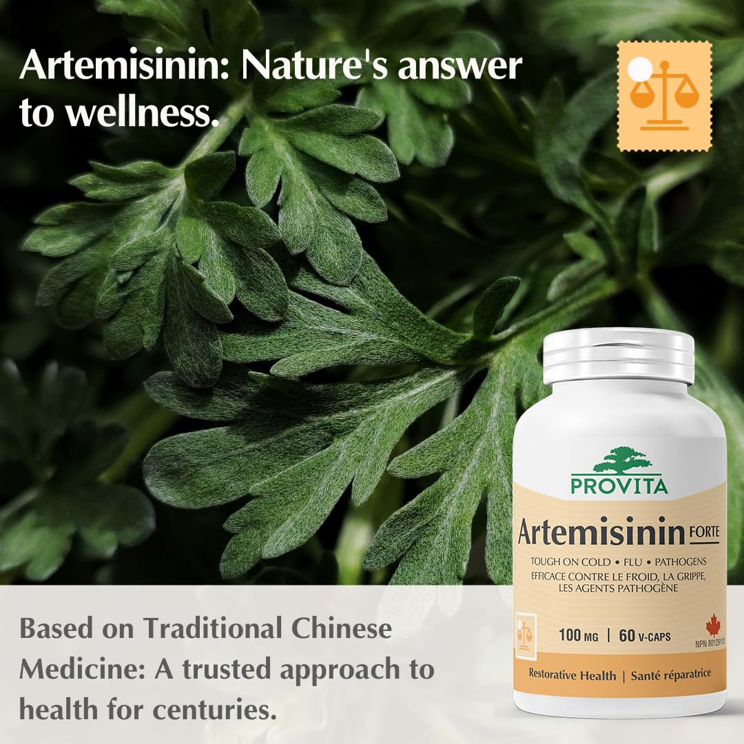 Artemisinin Pro™ - Remède par Provita | Artemisia Annua ou Armoise annuelle | Extrait 50:1 | Soutient le système immunitaire | Régule l'immunité | Basé sur la médecine traditionnelle chinoise