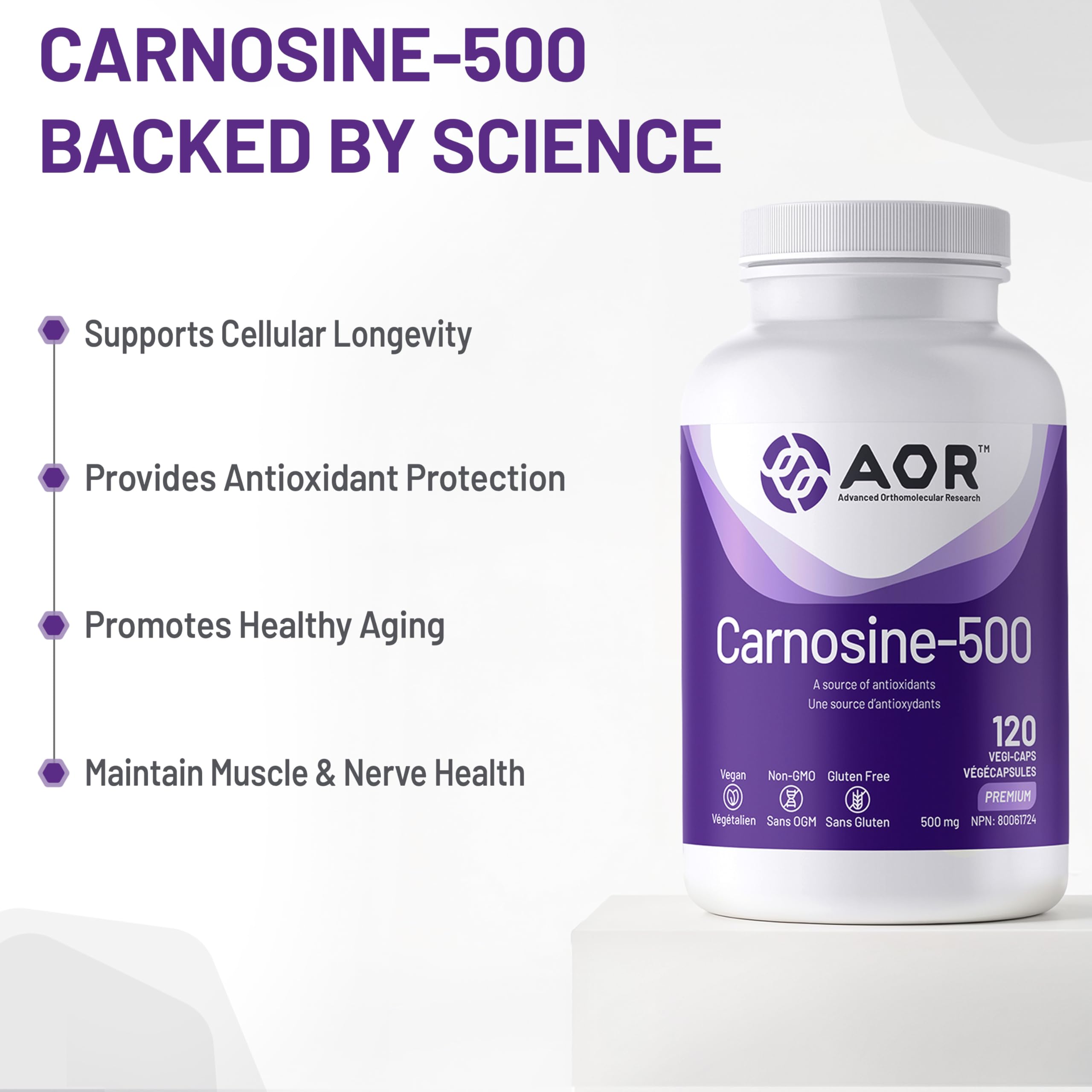 AOR Carnosine Supplément 500 mg Acides Aminés - Soutien Antioxydant pour la Fonction Cellulaire, la Vitalité Musculaire et le Bien-être Cognitif - Formule Végétalienne, sans OGM et sans Gluten