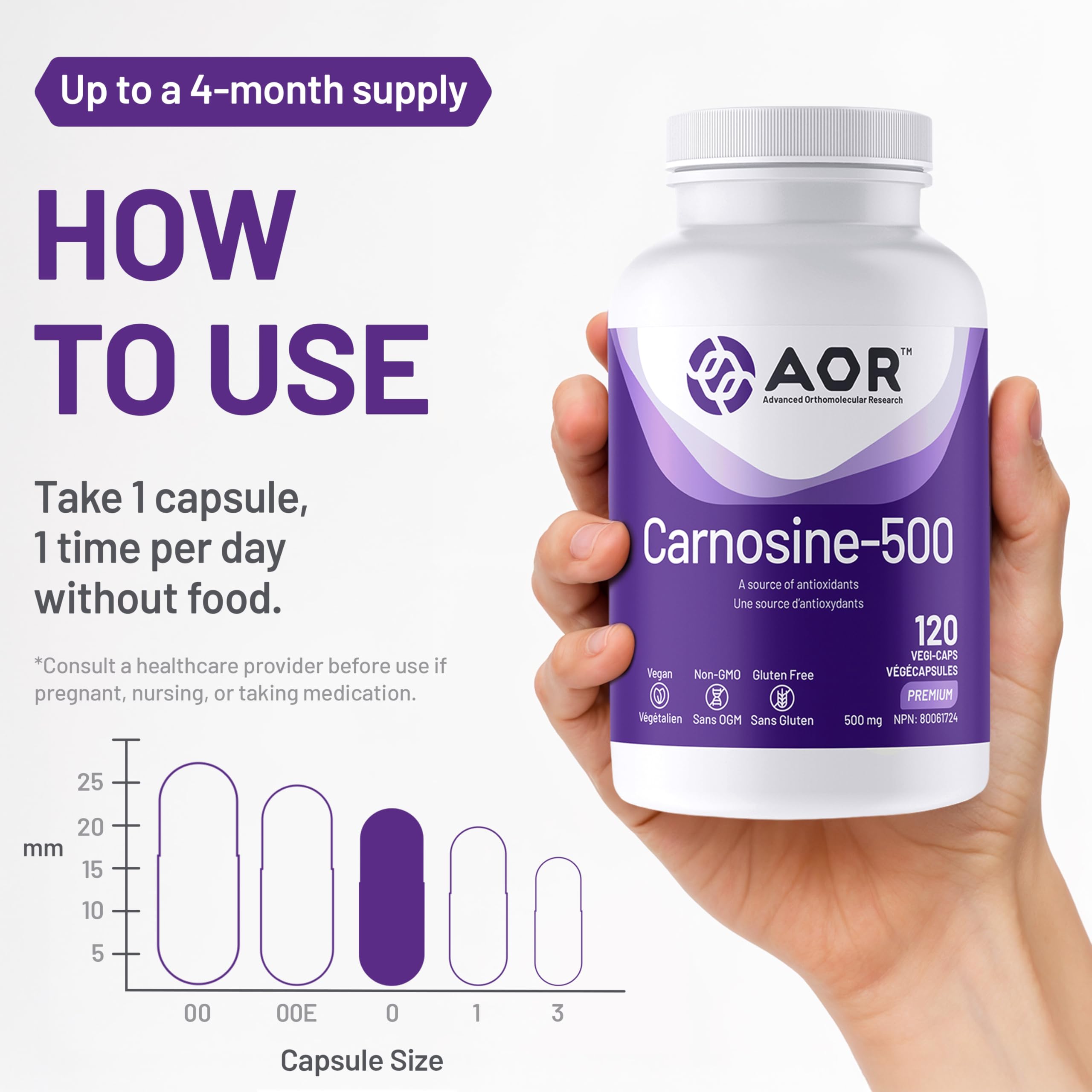 AOR Carnosine Supplément 500 mg Acides Aminés - Soutien Antioxydant pour la Fonction Cellulaire, la Vitalité Musculaire et le Bien-être Cognitif - Formule Végétalienne, sans OGM et sans Gluten