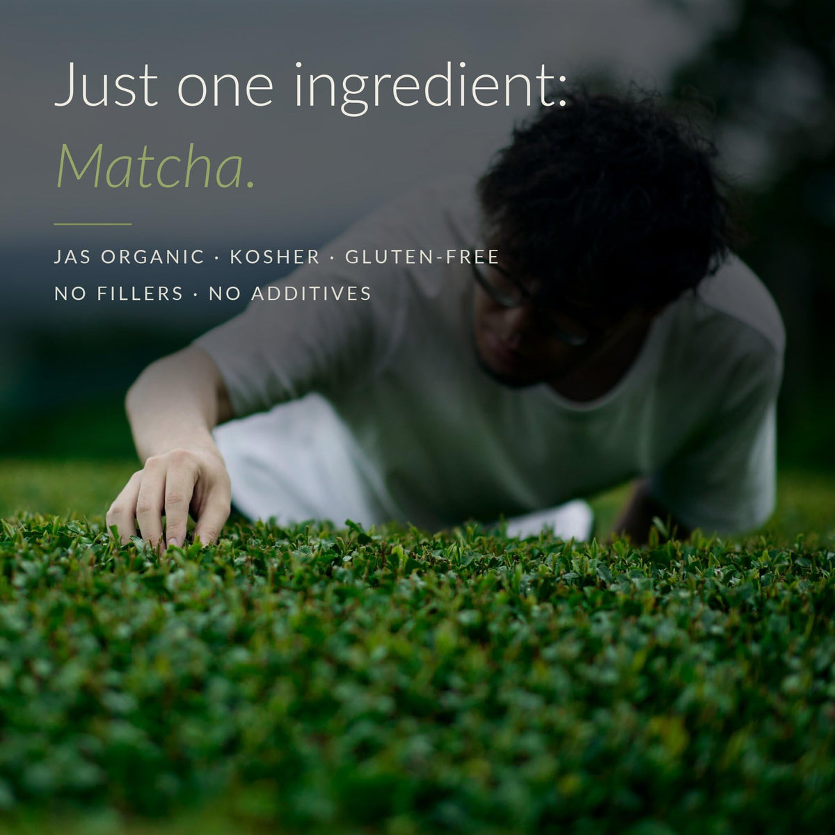 DoMatcha Uji Organic Matcha Green Tea Powder, Ceremonial Grade, 30g Tin