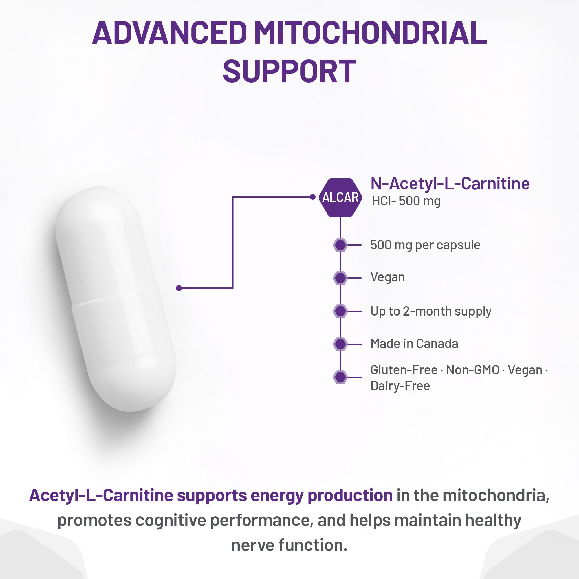AOR ALCAR Acétyl-L-Carnitine 500mg 120 Gélules - Approvisionnement de 60 Jours - Supplément de L-Carnitine pour le Soutien Énergétique, la Performance Cognitive, la Clarté Mentale, Sans OGM, Végétalien, Format Pratique pour un Mode de Vie Équilibré