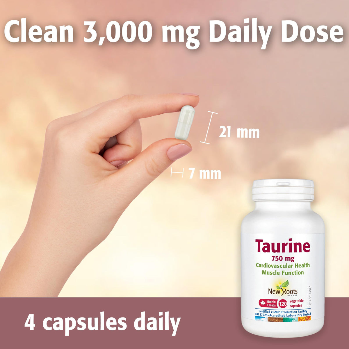 New Roots Herbal - Taurine 750 mg - 120 Veg Capsules