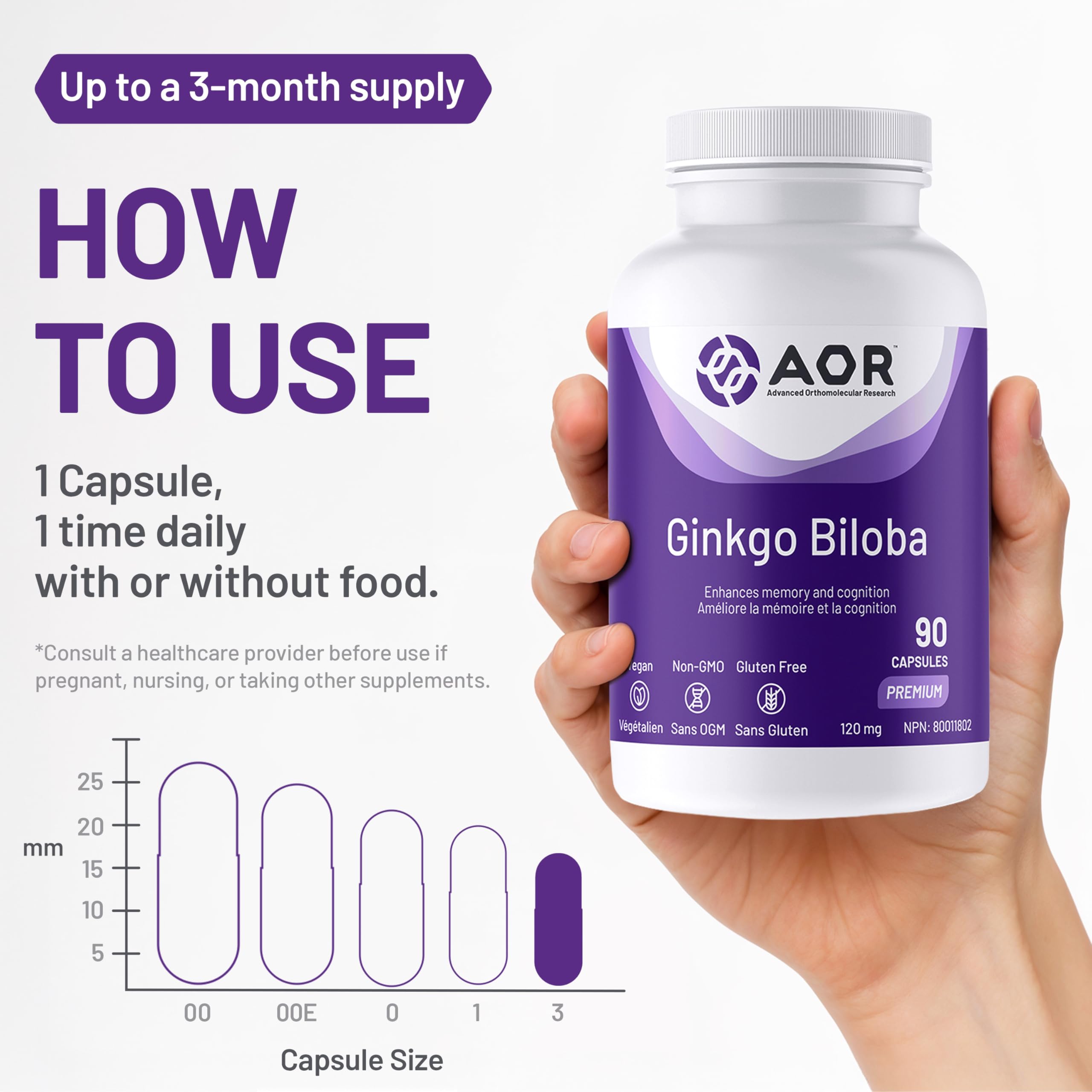 AOR Ginkgo Biloba 120 mg 90 gélules – Approvisionnement de 90 jours – Extrait de Ginkgo Biloba pour le soutien cognitif – Clarté mentale, concentration améliorée et performances cérébrales – Sans OGM, végétalien, supplément antioxydant pour la vitalité