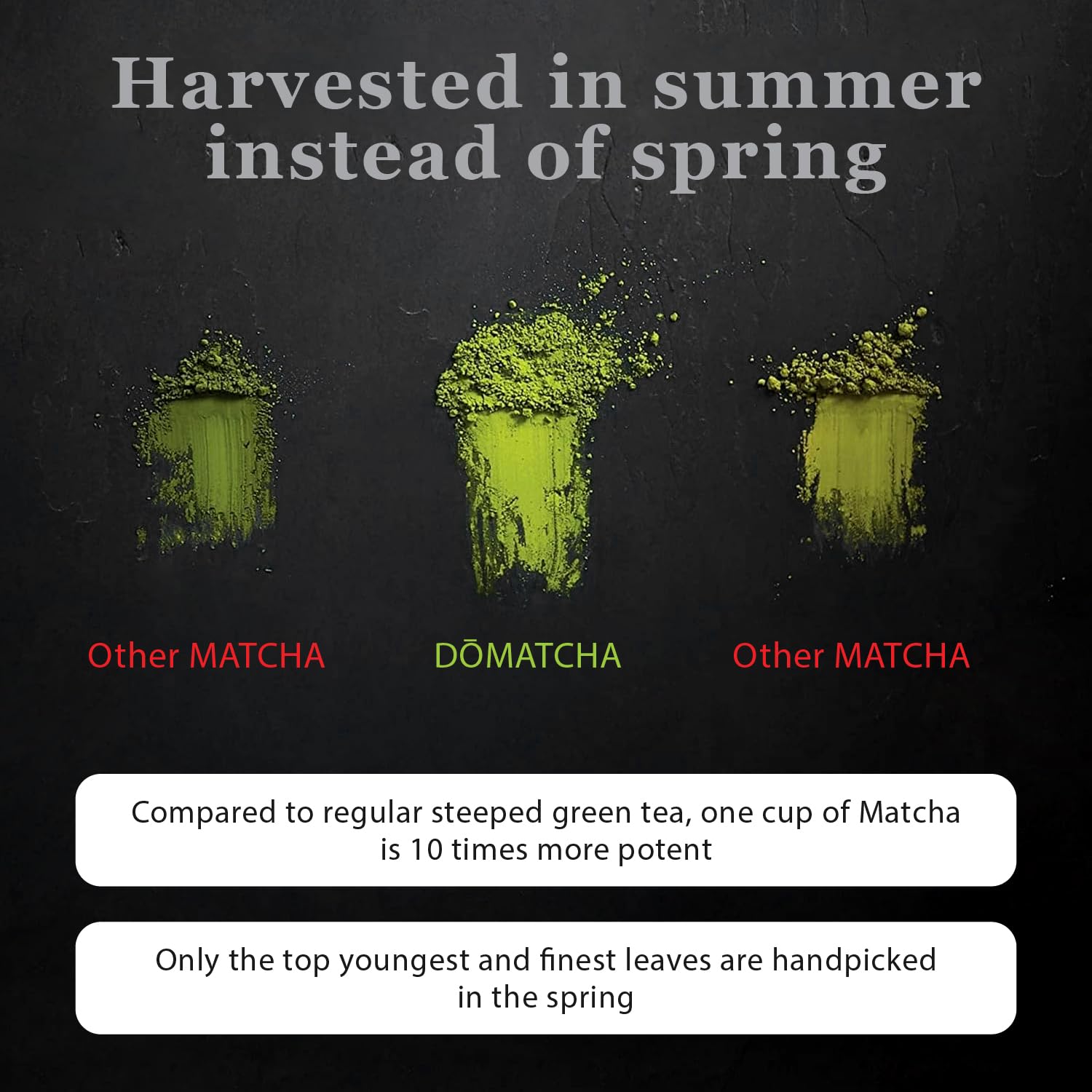 Poudre de Matcha Cérémonial DoMatcha, Thé Vert Japonais d'Uji – Goût Doux et Sucré, Riche en L-Théanine pour le Calme et la Concentration – Idéal pour les Lattes et les Rituels Quotidiens, Certifié Casher