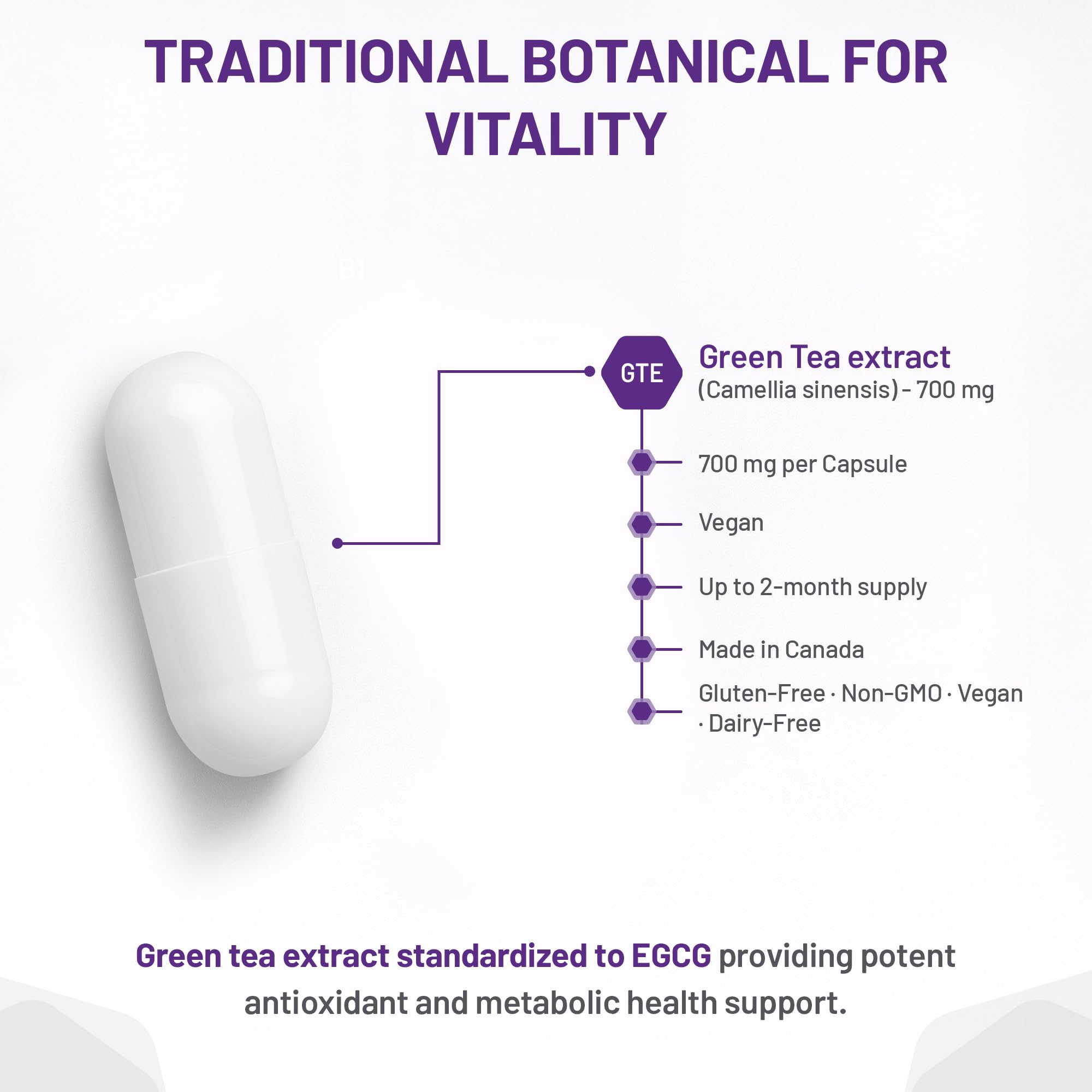 AOR Thé Vert Actif 700mg, 180 Gélules, 60 Jours d'Approvisionnement - Puissant Supplément d'Extrait de Thé Vert EGCG pour le Soutien Hépatique et Digestif et la Santé Cardiovasculaire - Formule Antioxydante Végane, Sans OGM et Sans Gluten