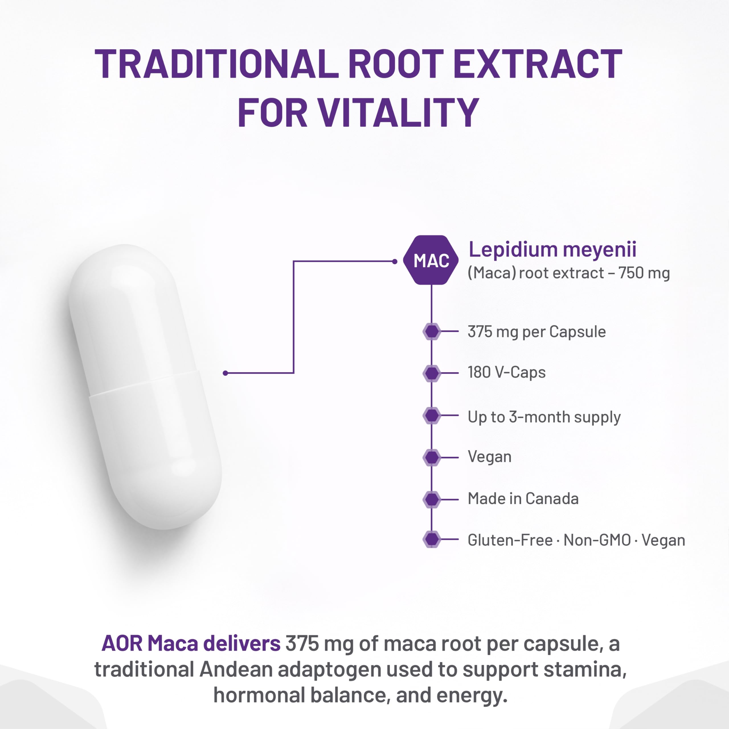 AOR Maca Root 375 mg, 180 capsules, 90 jours d'approvisionnement - Soutient l'énergie et la vitalité - Supplément d'extrait de racine de Maca, favorise une fonction hormonale équilibrée - Soutien ménopause et andropause - Végétalien, sans gluten