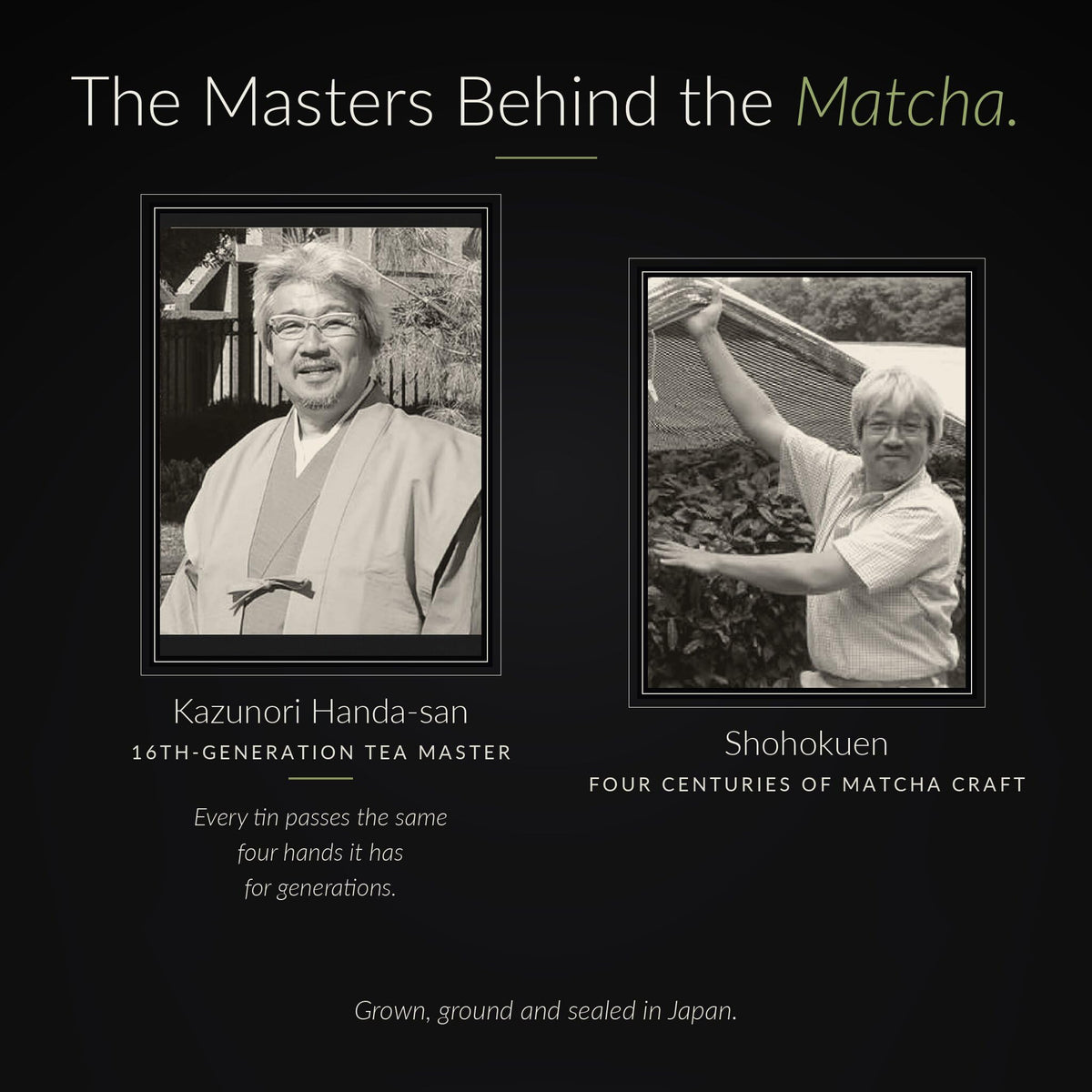 Do Matcha Organic Ceremonial Matcha Powder, No Additives, 30g