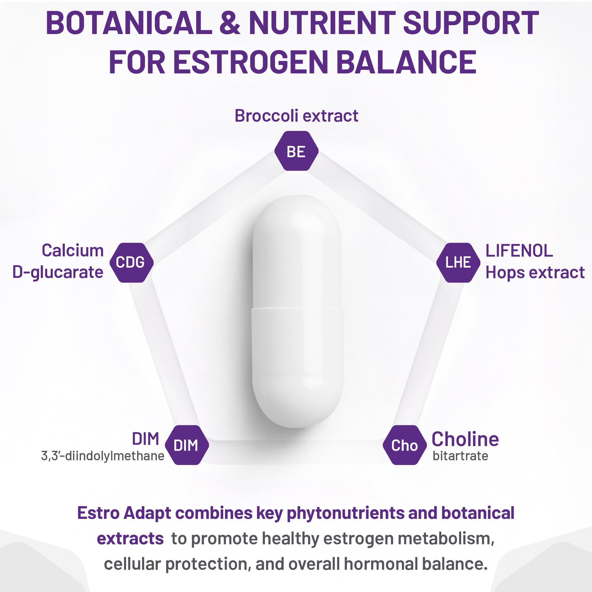 AOR Estro Adapt 60 gélules – Approvisionnement de 30 jours – Complément d'équilibre hormonal avec DIM, D-glucarate de calcium et choline, soutient la fonction hépatique, végétalien, sans OGM et sans gluten – Équilibre d'œstrogènes pour les femmes