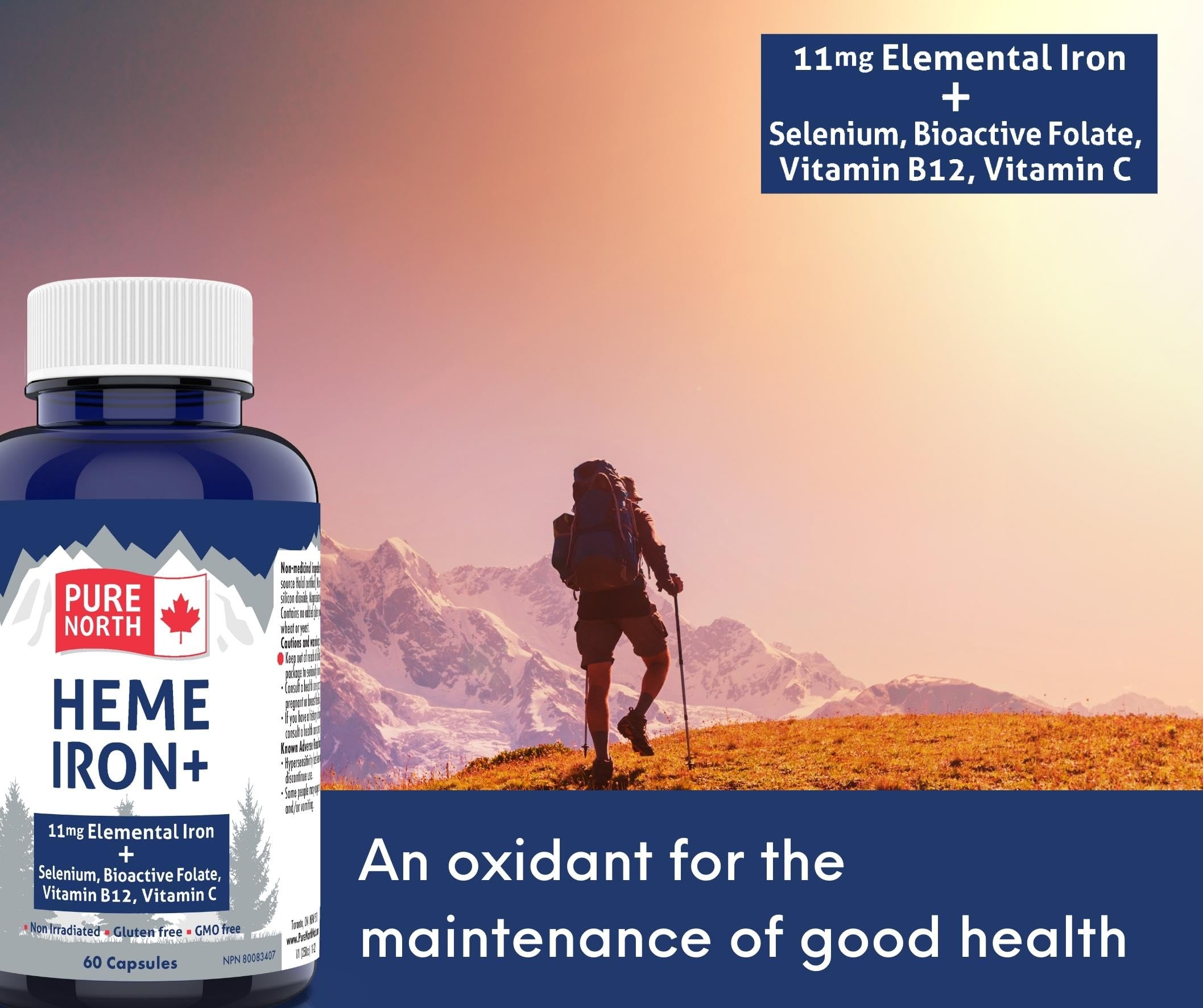 Pure North Naturals - Supplément de Fer Héminique, 60 capsules (pour 60 jours) - 11 mg de Fer Élémentaire + Sélénium, Folate Bioactif, Vitamine B12, Vitamine C - Testé par une Tierce Partie - Formulé et Fabriqué au Canada