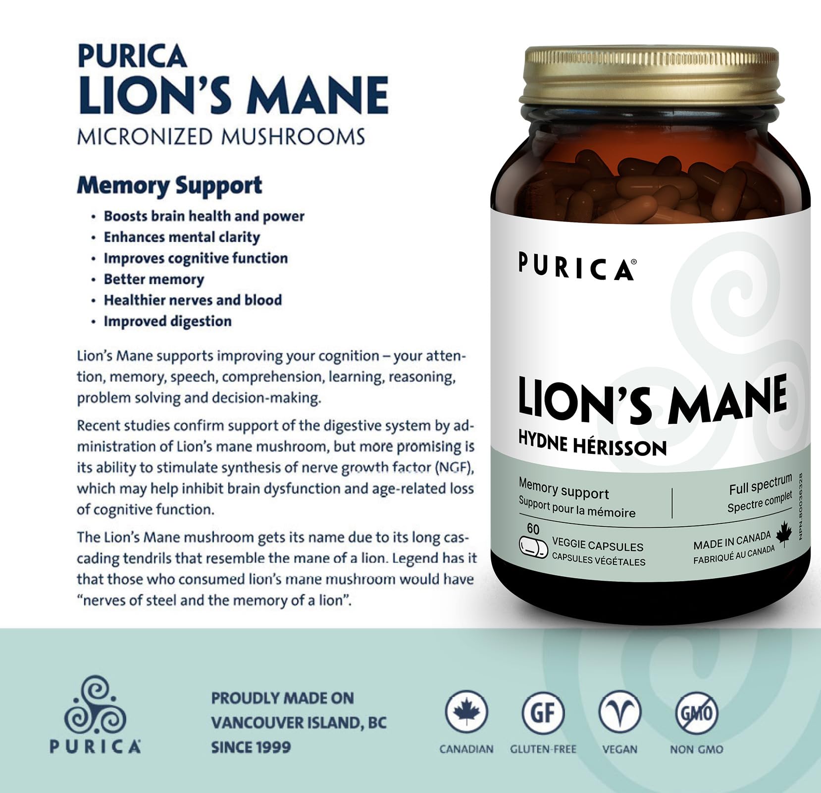 PURICA Crinière de Lion Biologique - Complément pour la Santé Cérébrale, Mémoire et Concentration, Gélules 100% Naturelles, Véganes