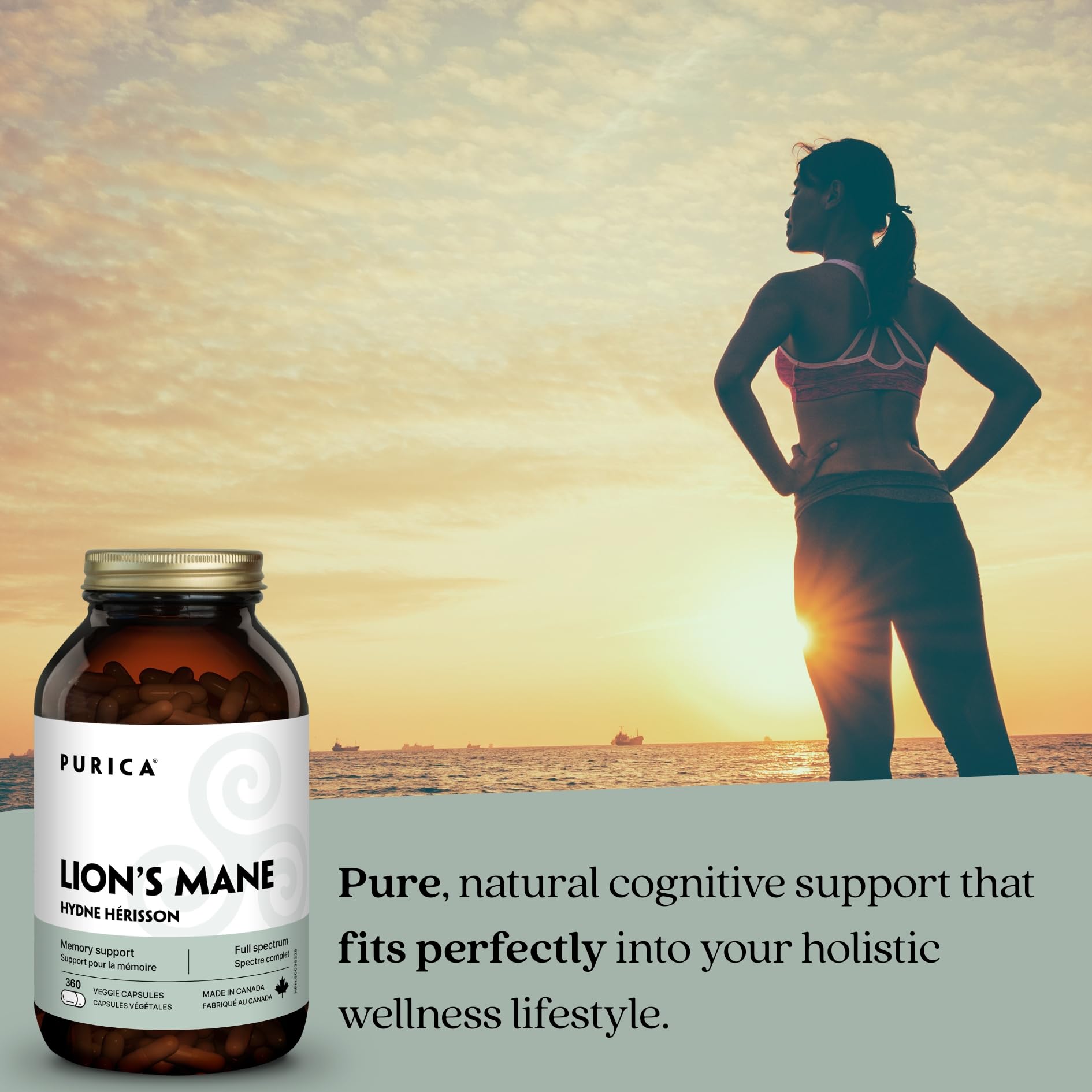 PURICA Crinière de Lion Biologique - Complément pour la Santé Cérébrale, Mémoire et Concentration, Gélules 100% Naturelles, Véganes