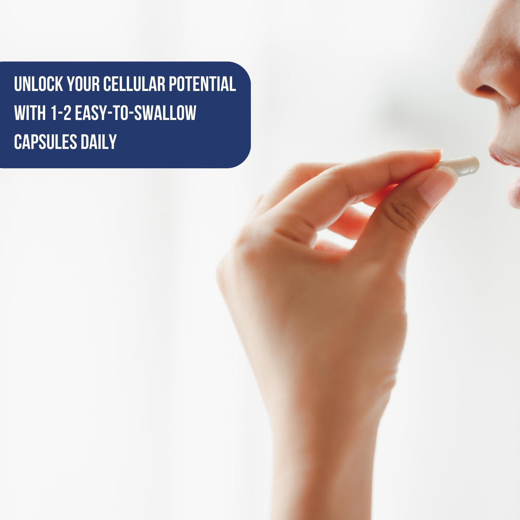 PURE NORTH NATURALS NMN 600mg, 60 Veggie Capsules, 30-Day Supply, Nicotinamide Mononucleotide for Enhanced Metabolic Function, Cellular Energy, and Cognitive Support, Non-GMO, Gluten, Dairy & Vegan