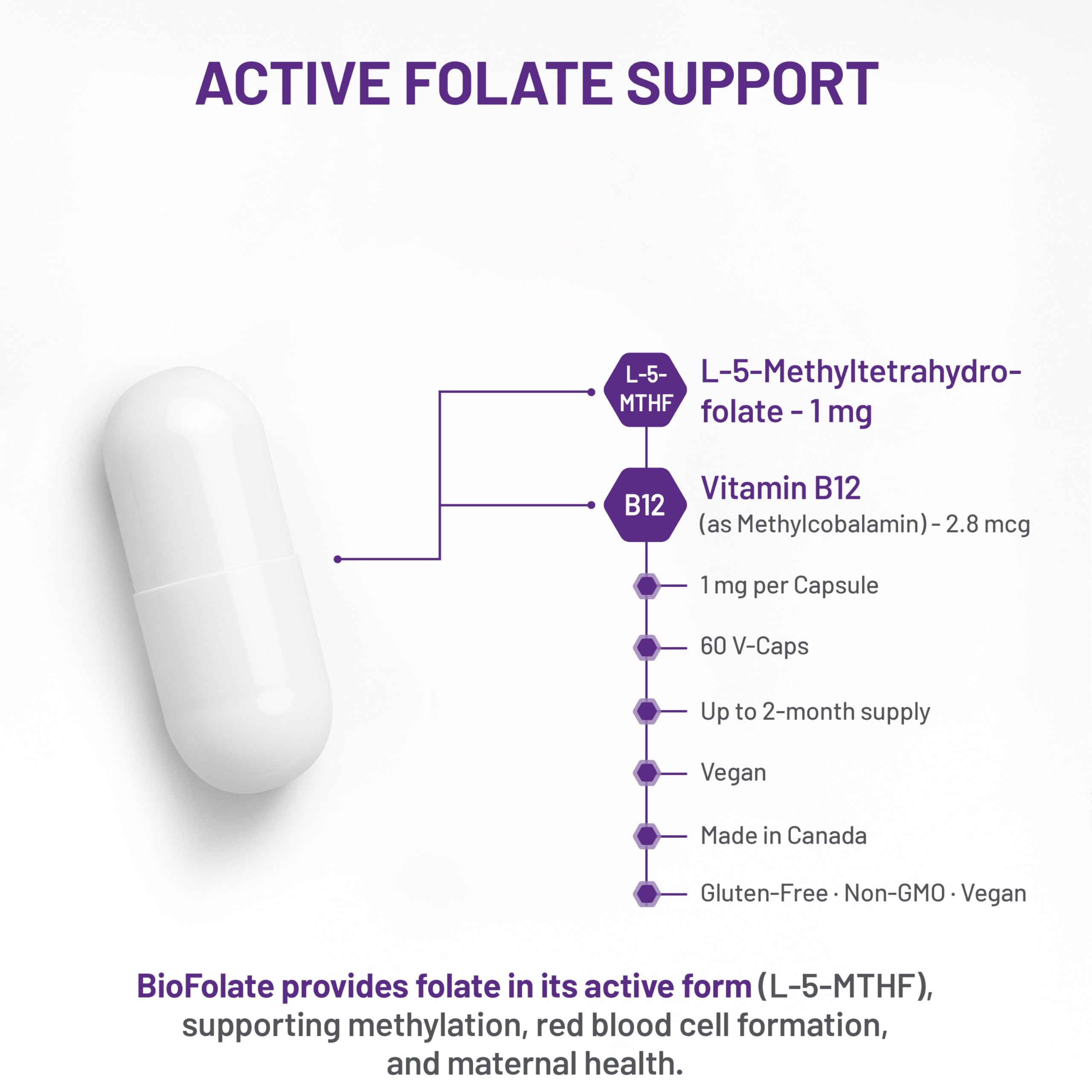 AOR BioFolate 1mg Méthylfolate 5-MTHF Plus Supplément B12, végétalien, sans OGM et sans gluten, Vitamine B9 Folate active, Méthyl B12 pour le soutien cardiovasculaire et le bien-être nutritionnel