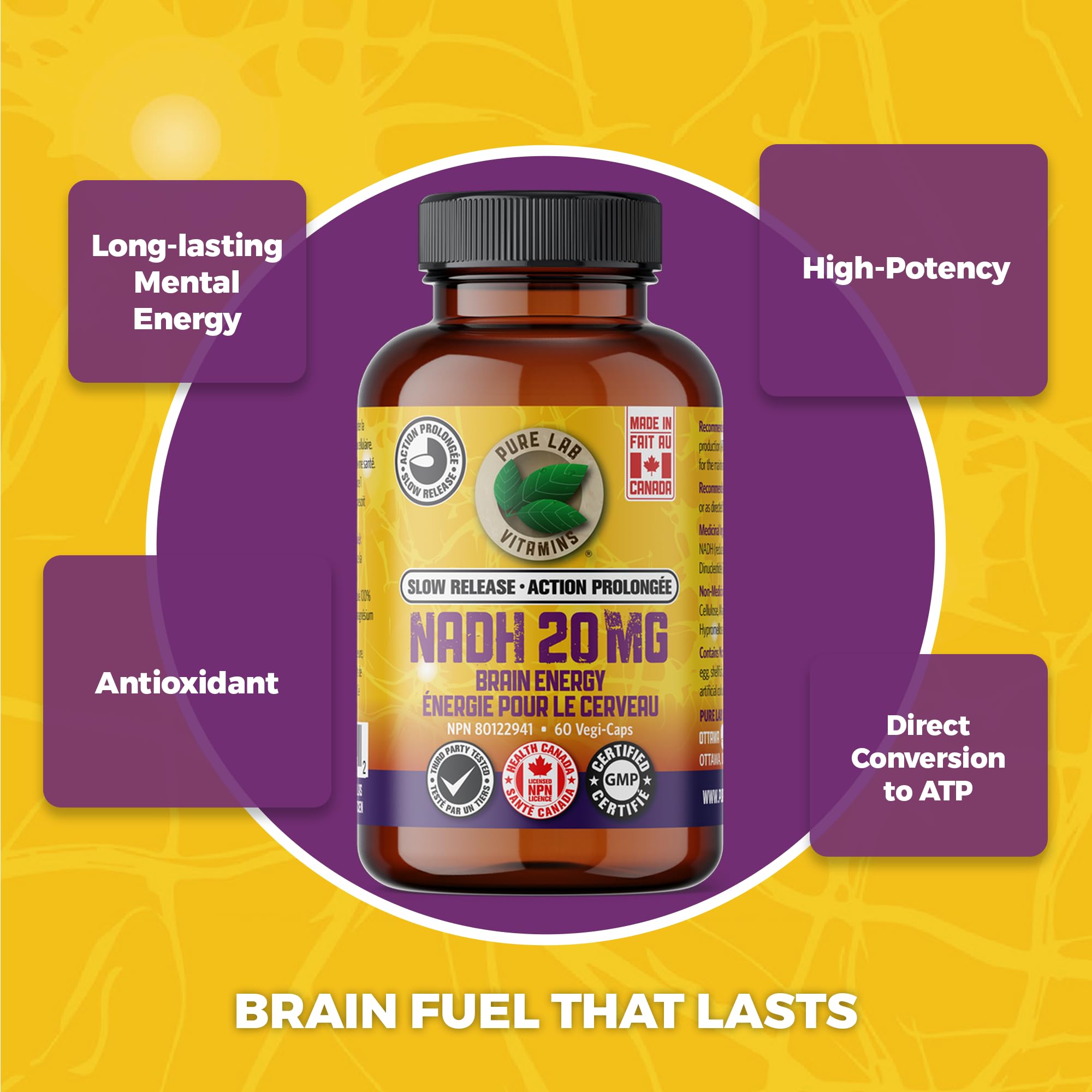 Pure Lab Vitamins - Nicotinamide Adénine Dinucléotide (NAD) + Hydrogène (H) Supplément - 20 MG