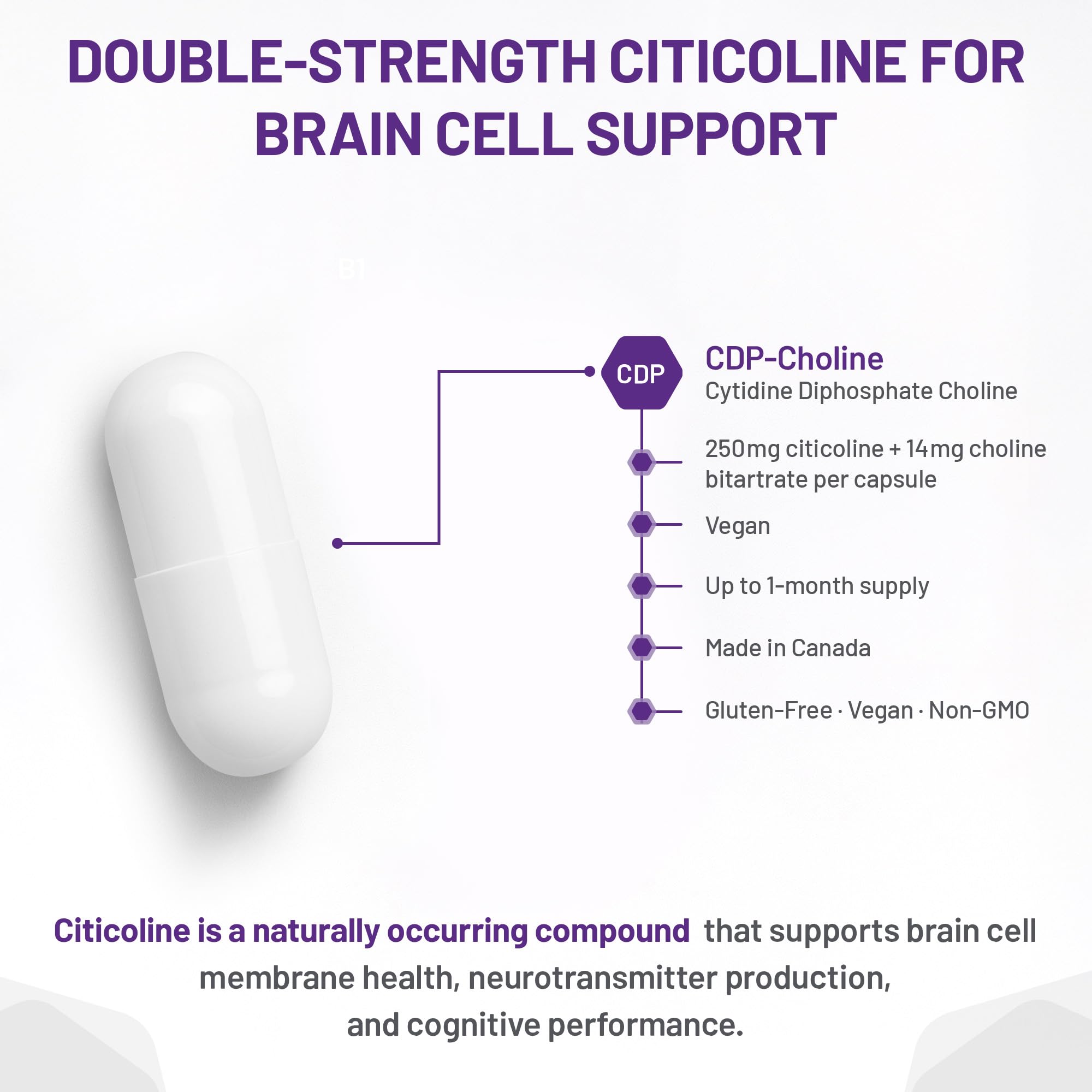 AOR Xerenoos Citicoline, complément avec Bitartrate de choline, 60 capsules, cure de 30 jours – Favorise les fonctions cognitives, la concentration et la mémoire – Soutien des phospholipides pour la santé du cerveau – Sans OGM, végétalien et sans gluten