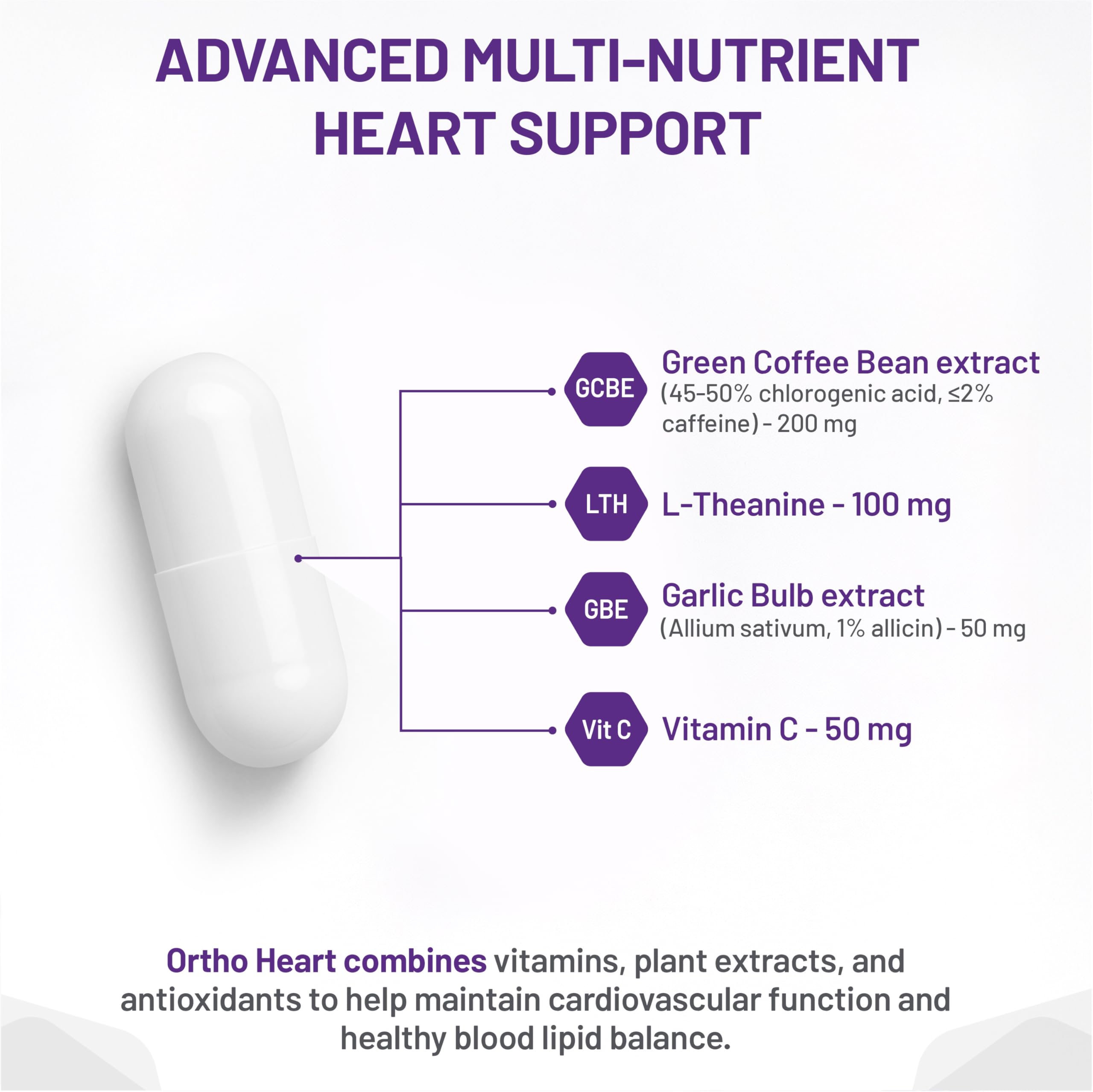 AOR Ortho Heart 400mg 60 Caps 30-Day Supply - Cardiovascular Support with Garlic, L-Theanine & Vitamin C, Circulatory Health, Support Balanced Lipid Level for Overall Heart Health, Gluten-Free & Vegan