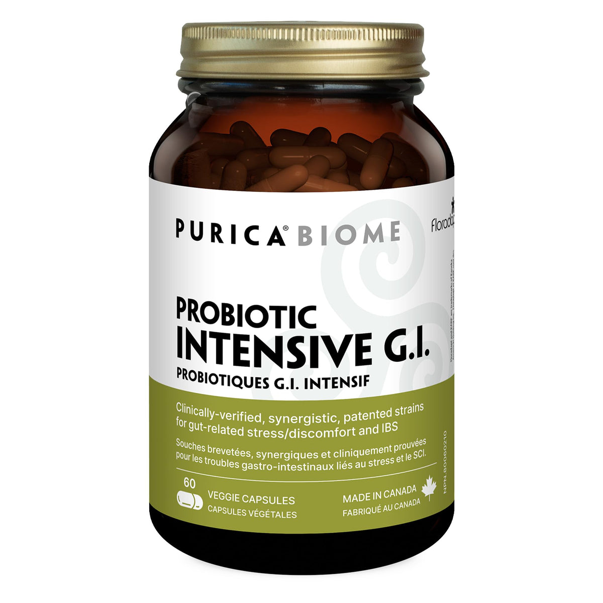 PURICA Floradapt GI Daily Probiotic Capsules, 3 Billion CFU, 60 Day Supply