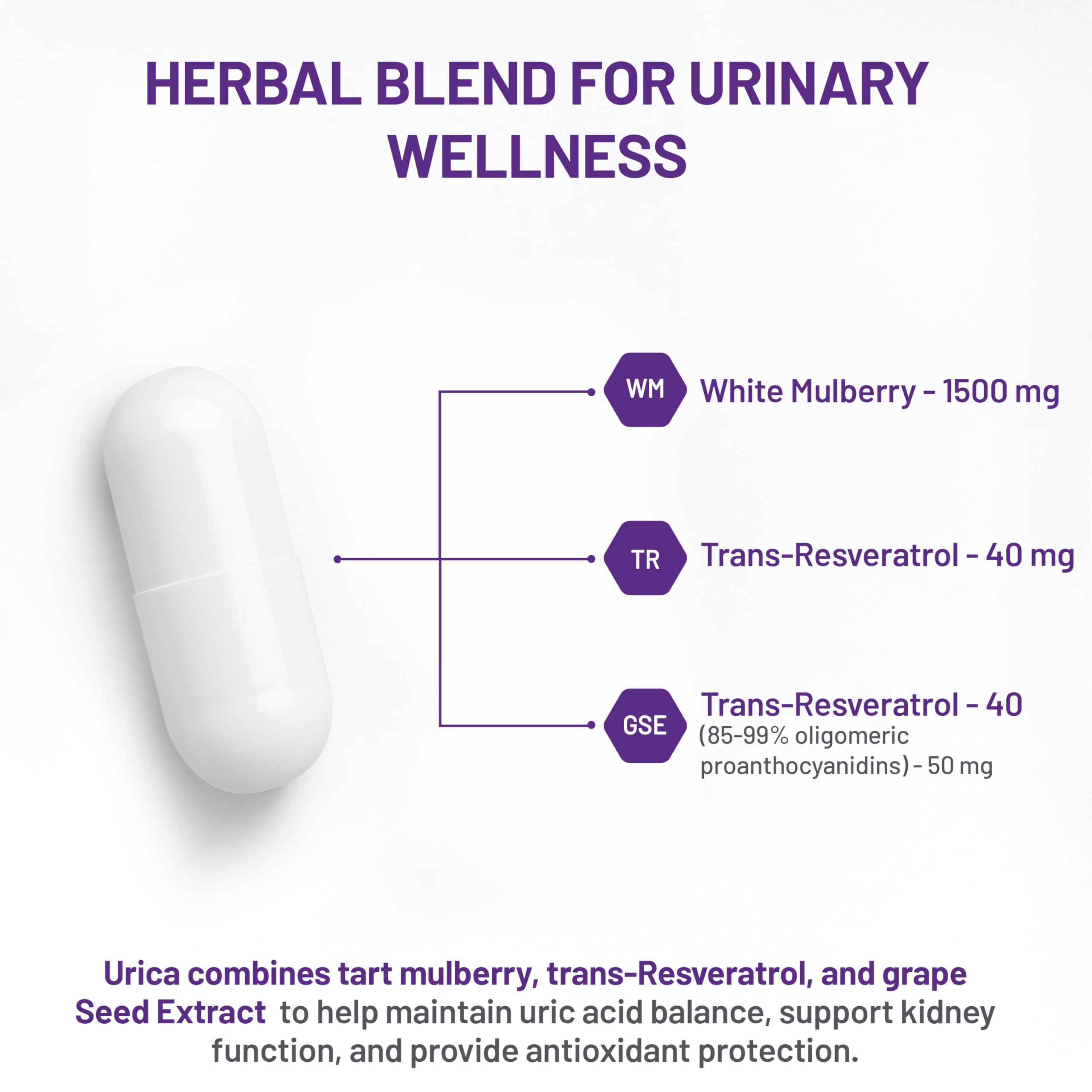 AOR Urica 530mg, 90 gélules (30 jours de traitement) - Formule de soutien de l'acide urique avec mûrier blanc riche en morine, trans-resvératrol et extrait de pépins de raisin - Végétalien et sans gluten - Favorise l'équilibre naturel de l'acide urique