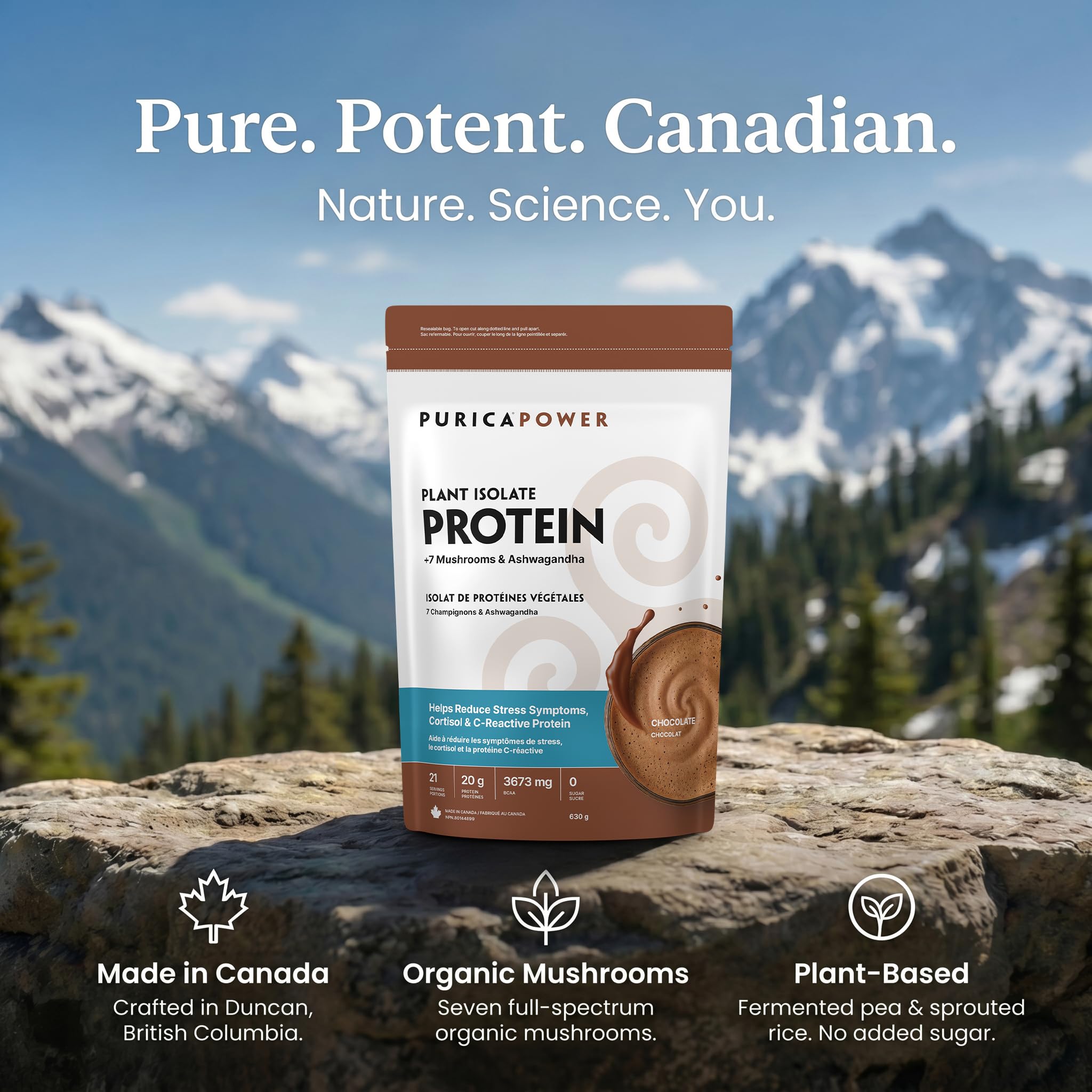 PURICA Plant Isolate Protein +7 Mushrooms & Ashwagandha Powder