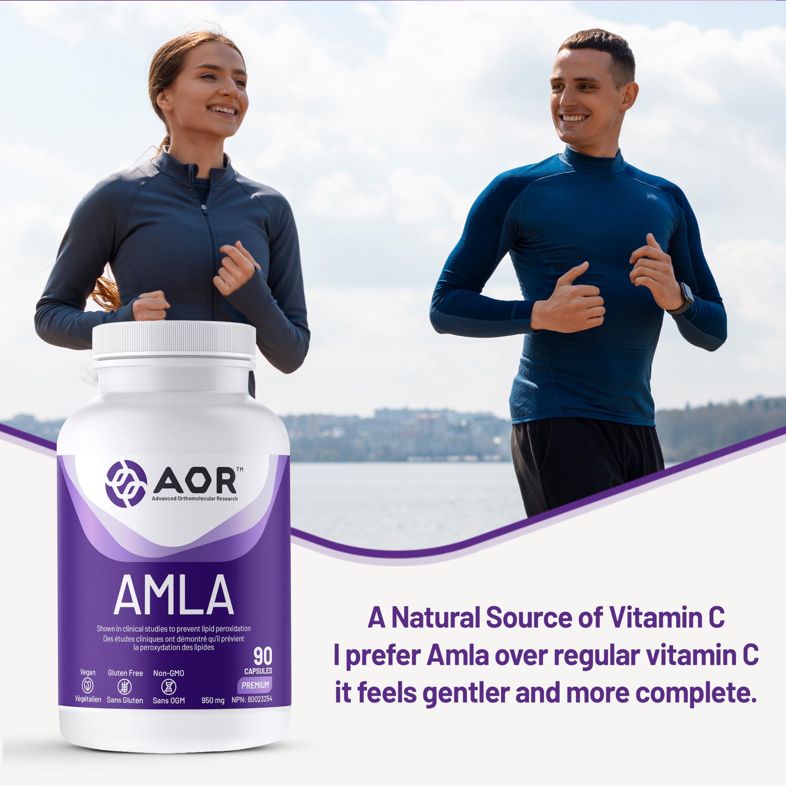 AOR Amla 950mg, 90 gélules (30 jours d'approvisionnement) - Complément d'Amla Biologique pour le Soutien du Cholestérol, Extrait d'Amla Puissant - Végétalien, Sans OGM et Sans Gluten - Aide à Maintenir le Bien-être Digestif et un Taux de Lipides Sain