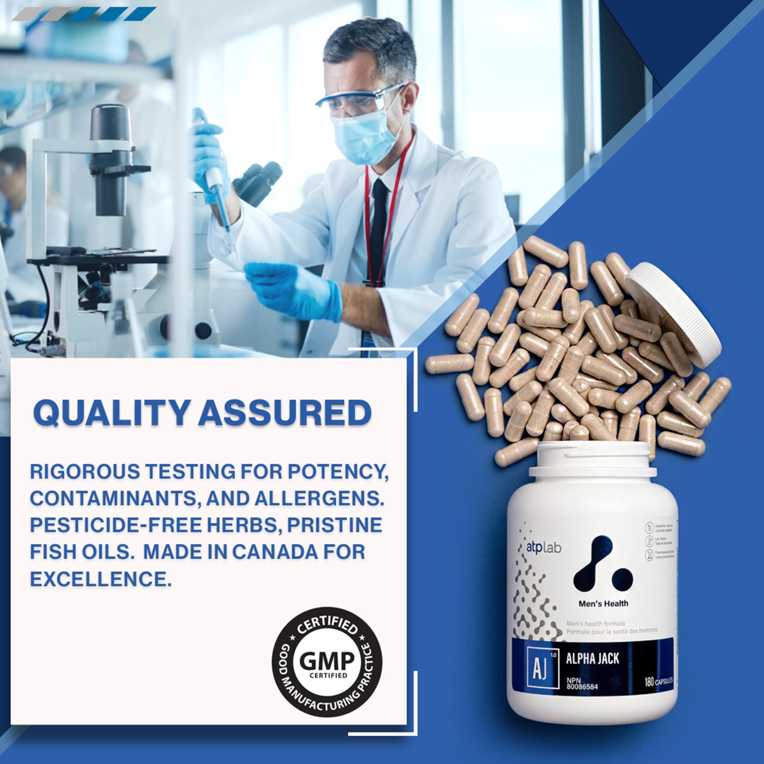 ATP LAB - Alpha Jack 180 capsules, Cure de 30 jours - Supplément de santé masculine - Soutien énergétique et supplément naturel - Supplément antioxydant pour hommes - Formulé et fabriqué au Canada