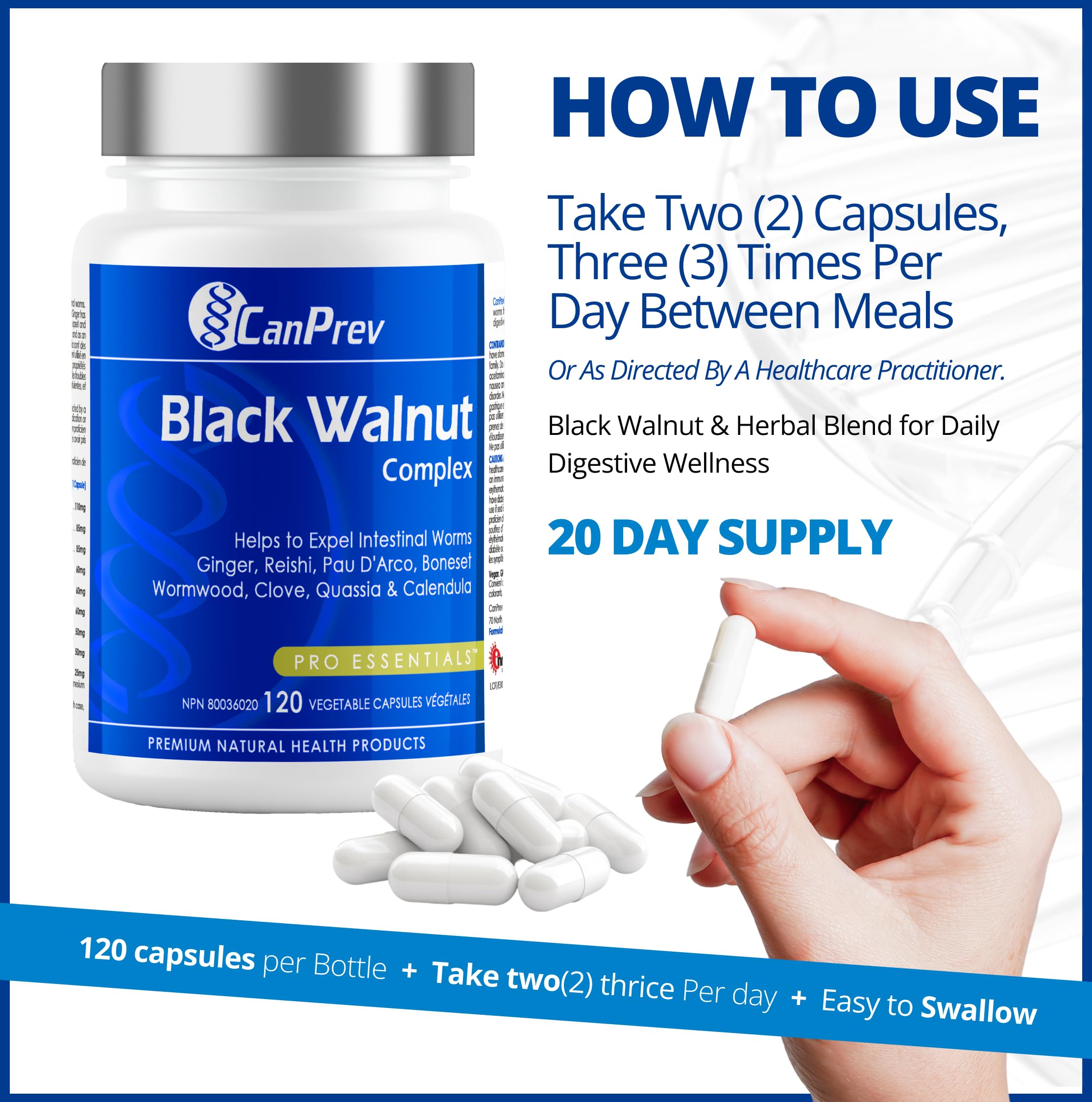 CanPrev - Complexe de Noyer noir, 120 capsules végétaliennes - Supplément de Noyer noir pour la santé digestive, le soulagement des maux d'estomac, le soulagement de l'indigestion et le soulagement de la diarrhée - Aide à expulser les vers intestinaux