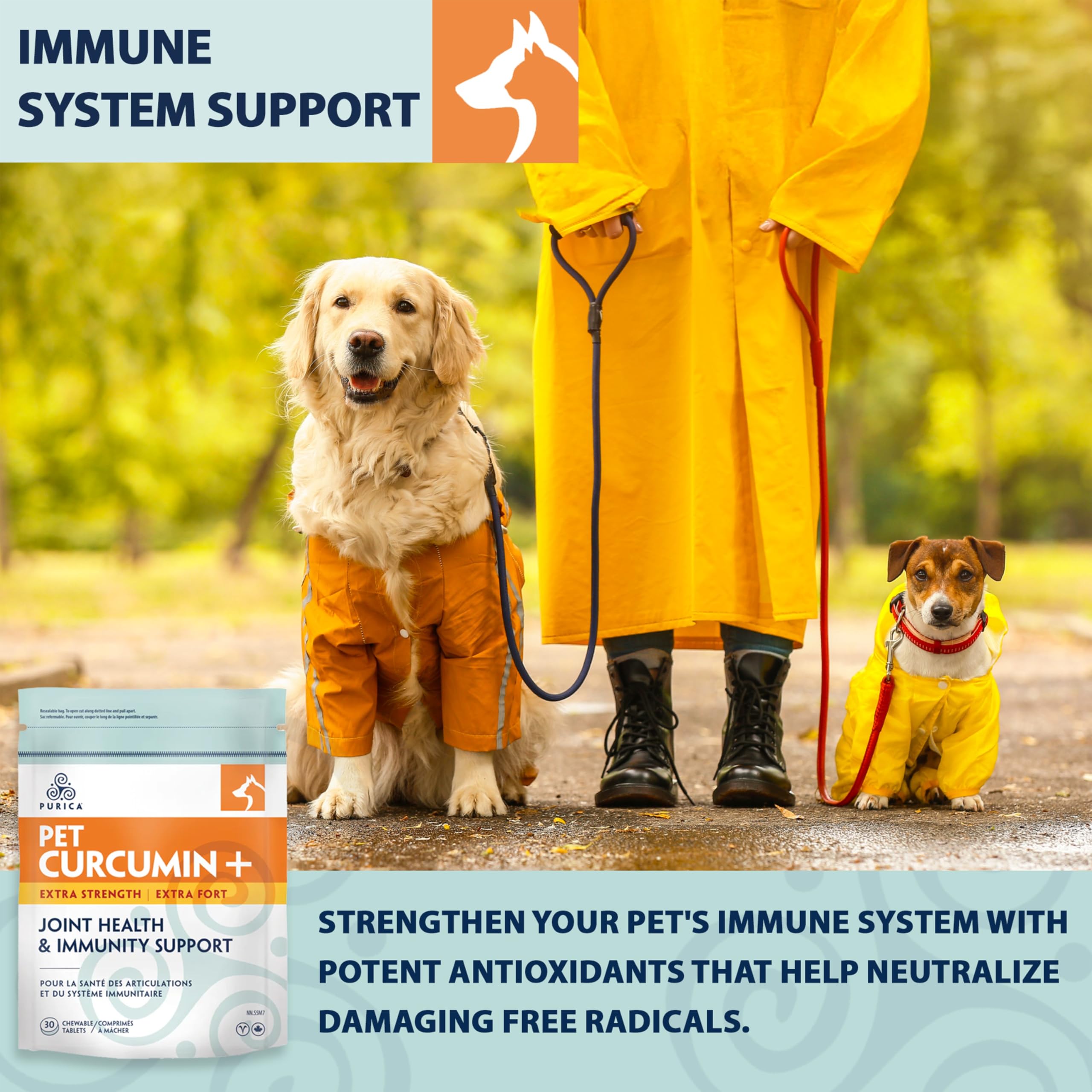 PURICA Curcuma Plus Extra Fort pour animaux de compagnie