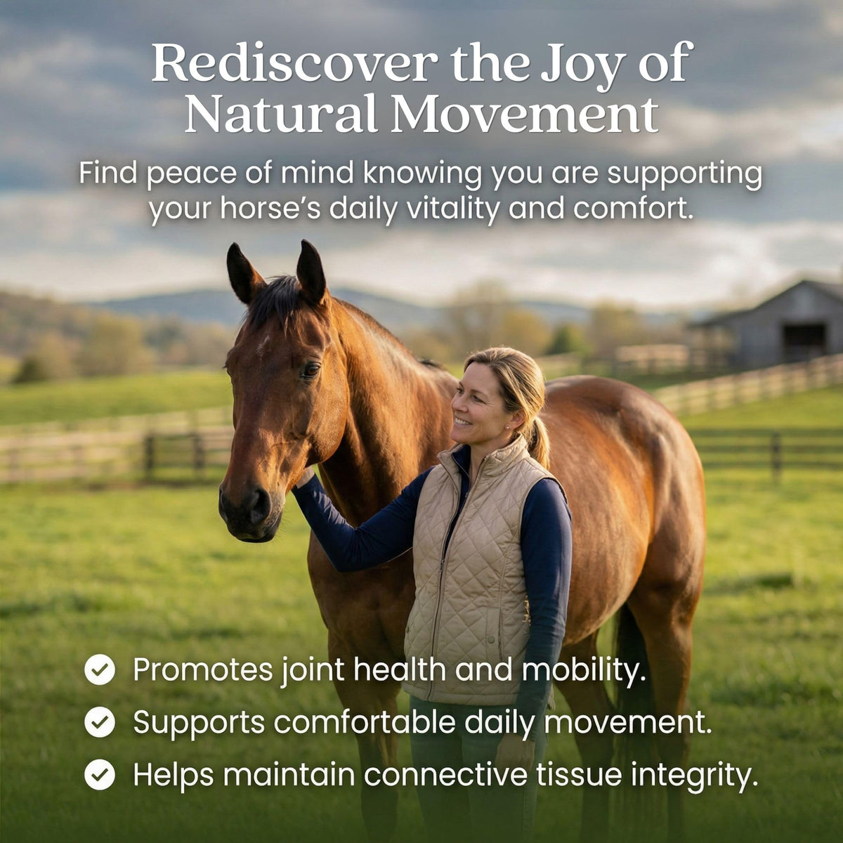 PURICA Horse MSM Supplement, MSM-Only, Vegan & Non-GMO, 5kg, 500-Day Supply