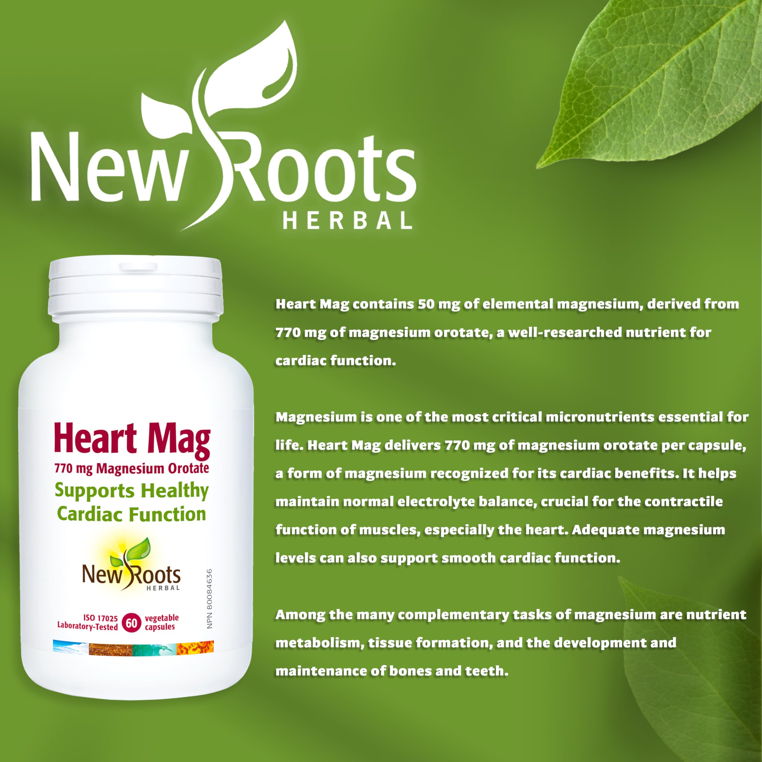 New Roots Herbal - Heart Mag, 60 capsules - Orotate de magnésium 770 mg pour la fonction cardiaque, favorise le maintien d'une fonction musculaire saine, l'équilibre électrolytique, la santé des os et des dents.