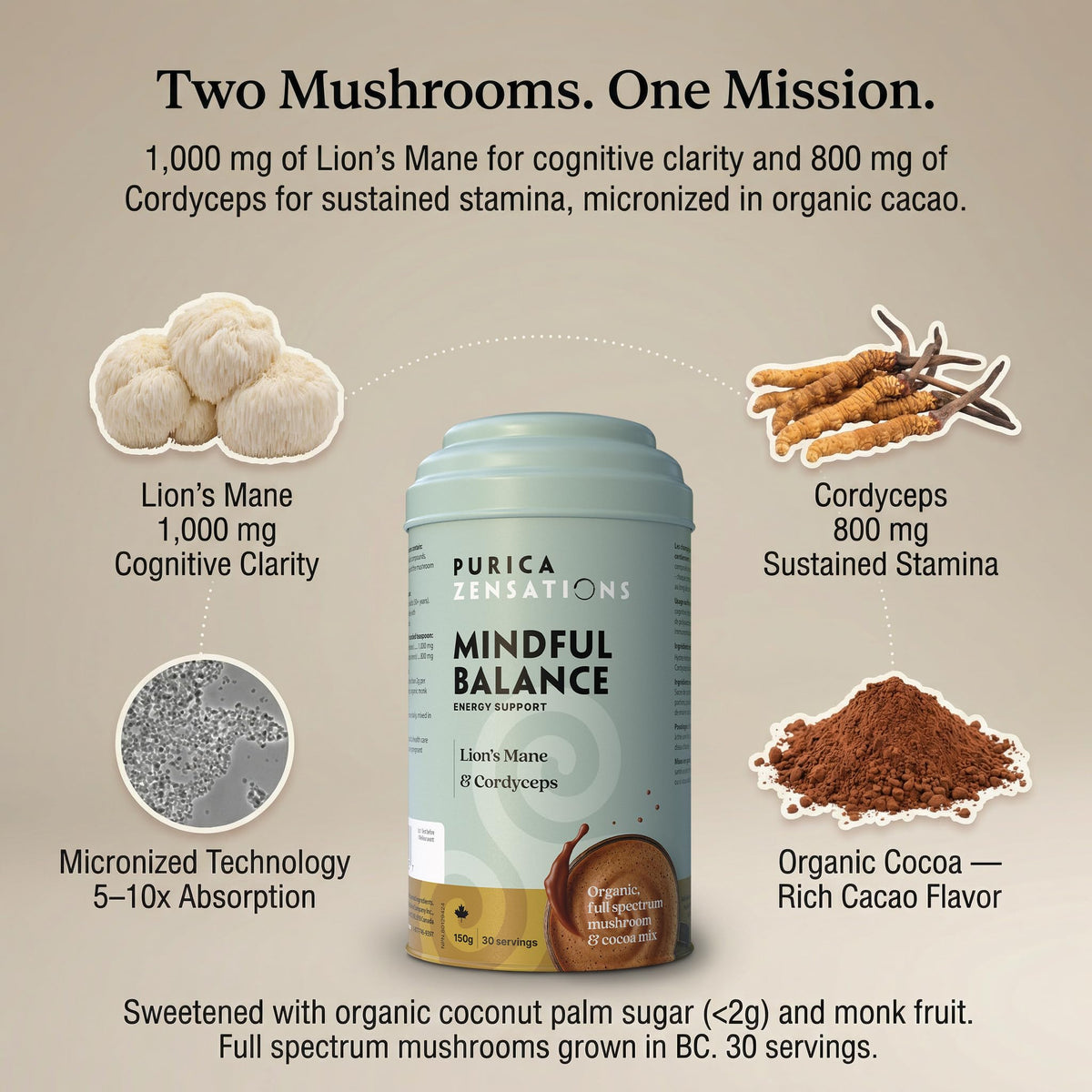 PURICA Zensations Mindful Balance Powder, Lions Mane Mushroom, 30 Servings