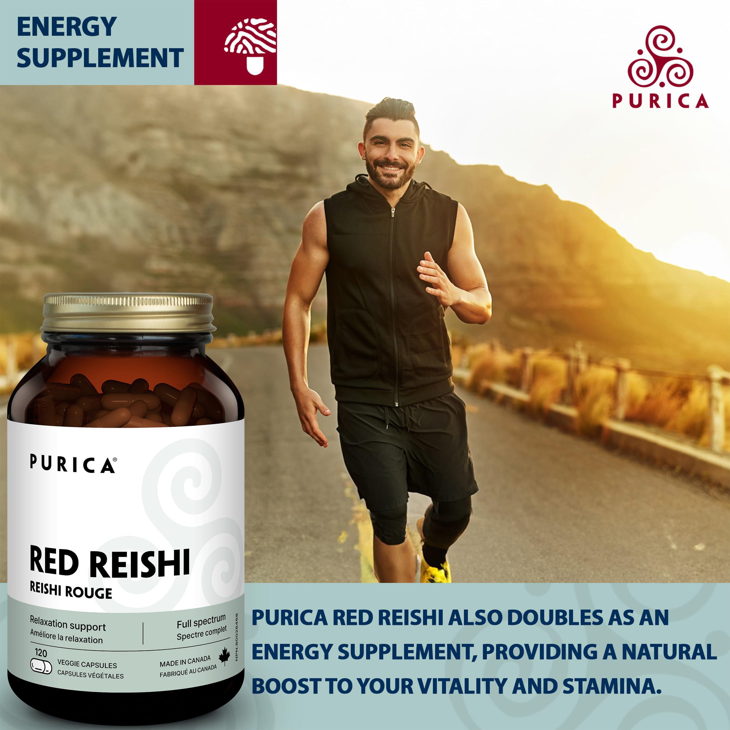 PURICA - Reishi Rouge - Champignons micronisés - Aide à la relaxation