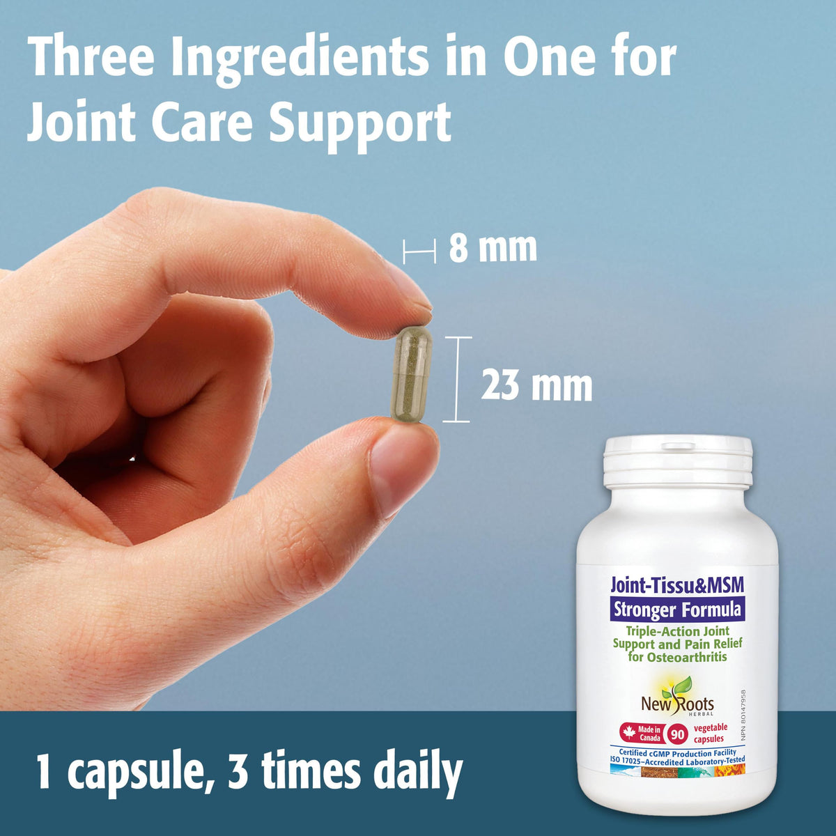 New Roots Herbal - Joint-Tissu&MSM - 90 Veg Capsules