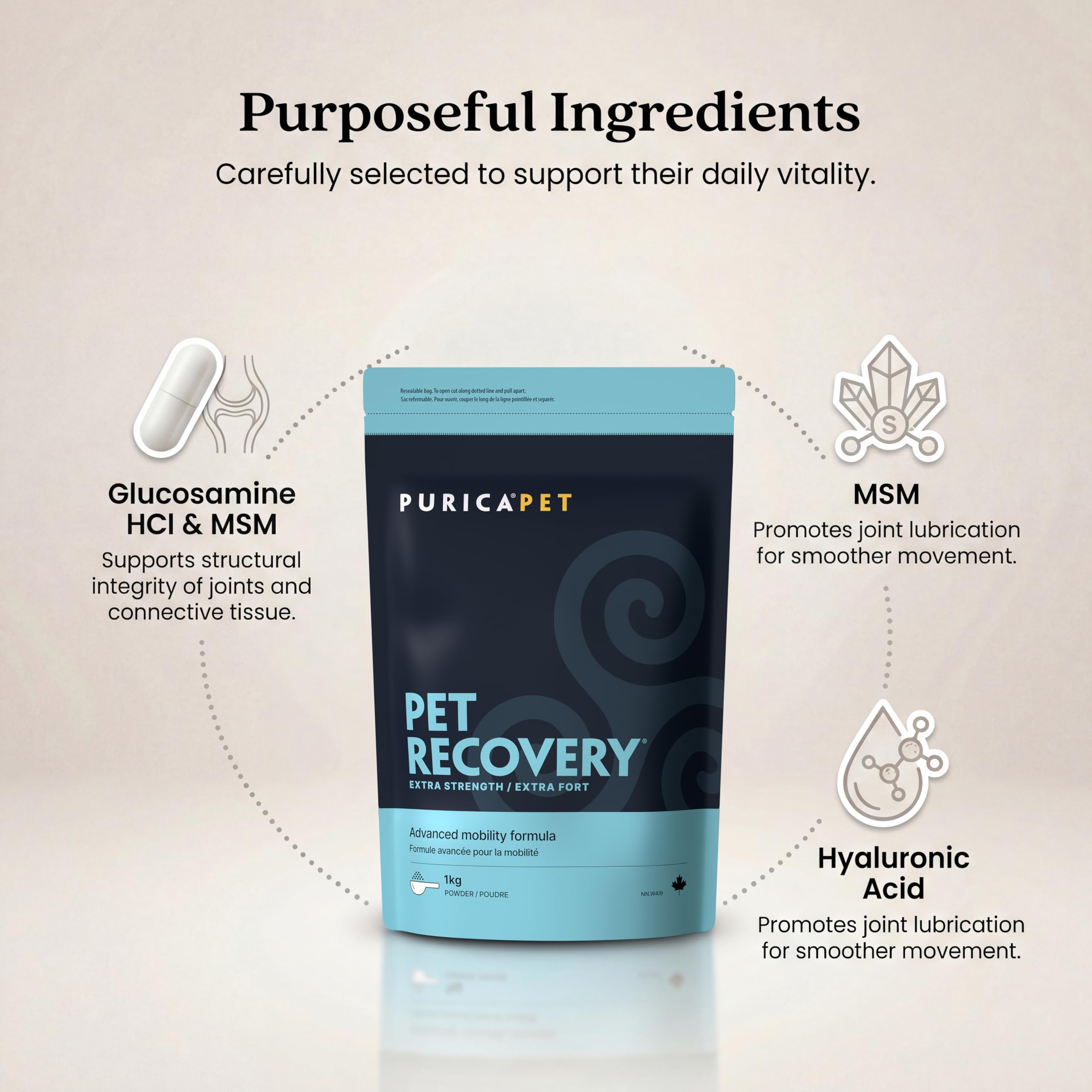 PURICA Pet Recovery
