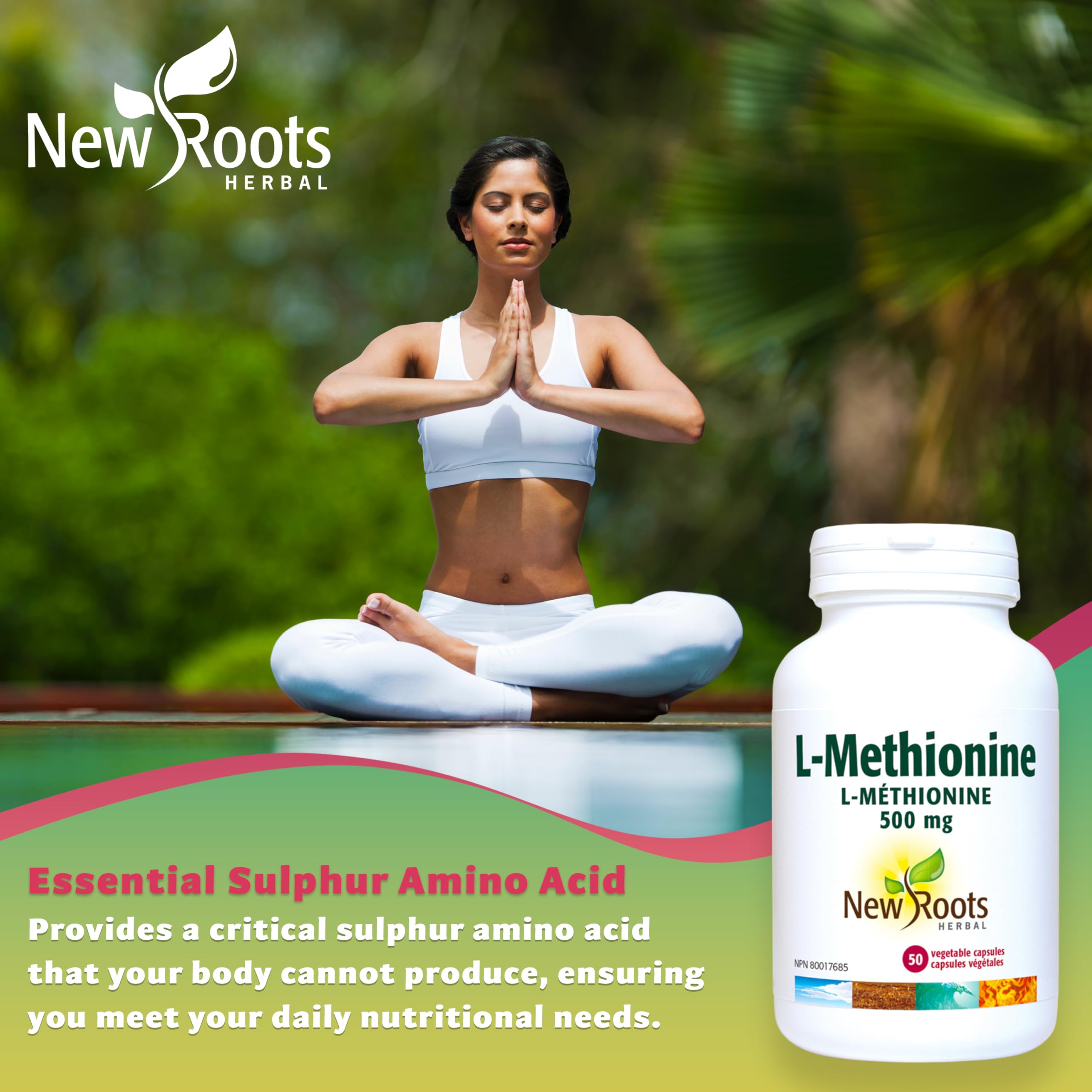 New Roots Herbal L-Méthionine 500 mg, Acide Aminé, Soutien Essentiel pour l'Activité Hépatique et le Bien-Être Quotidien, 50 Gélules Végétales, Approvisionnement de 50 Jours